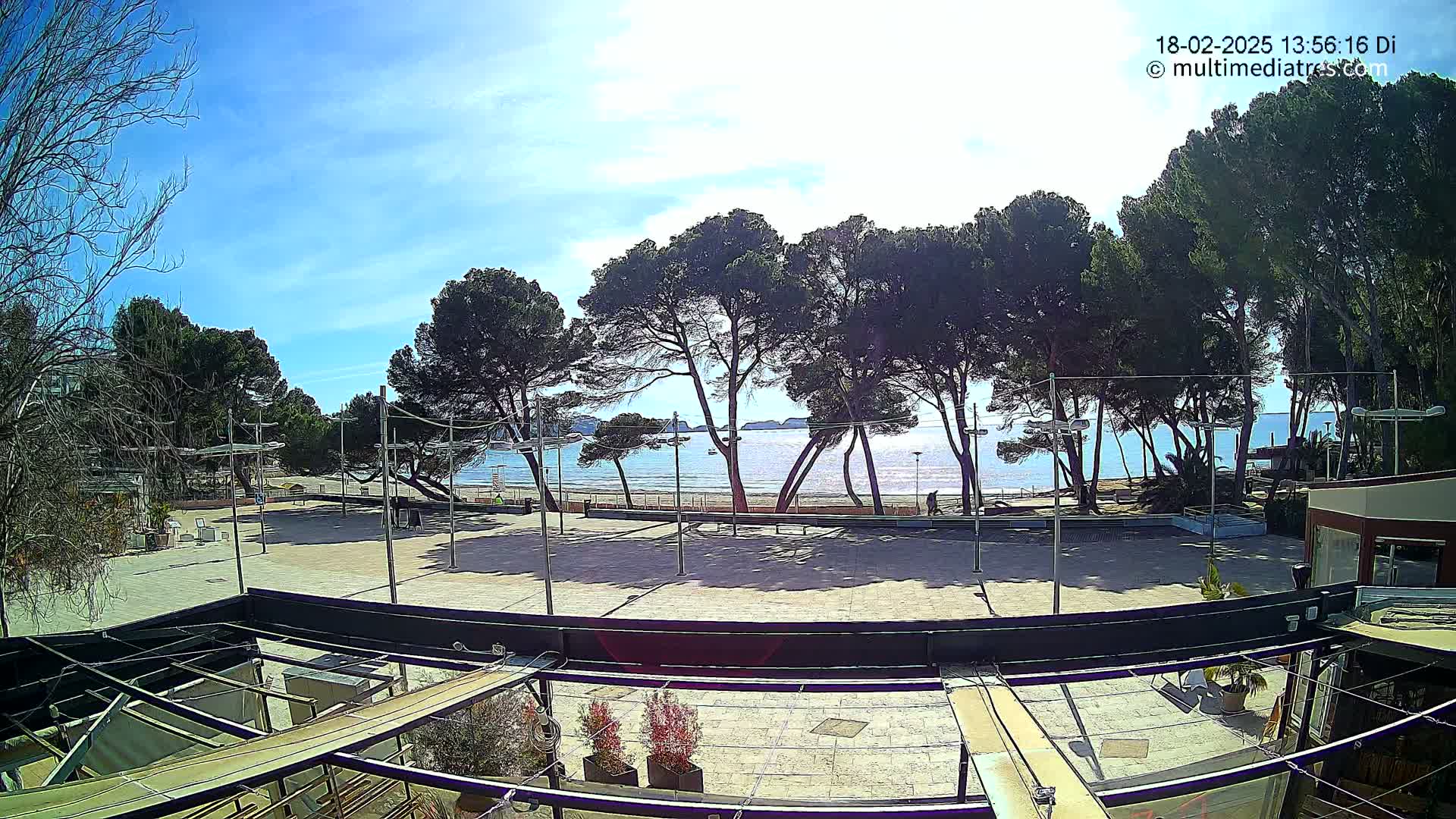 A sunny outdoor scene shows a paved plaza overlooking a calm, blue ocean beach lined with pine trees.