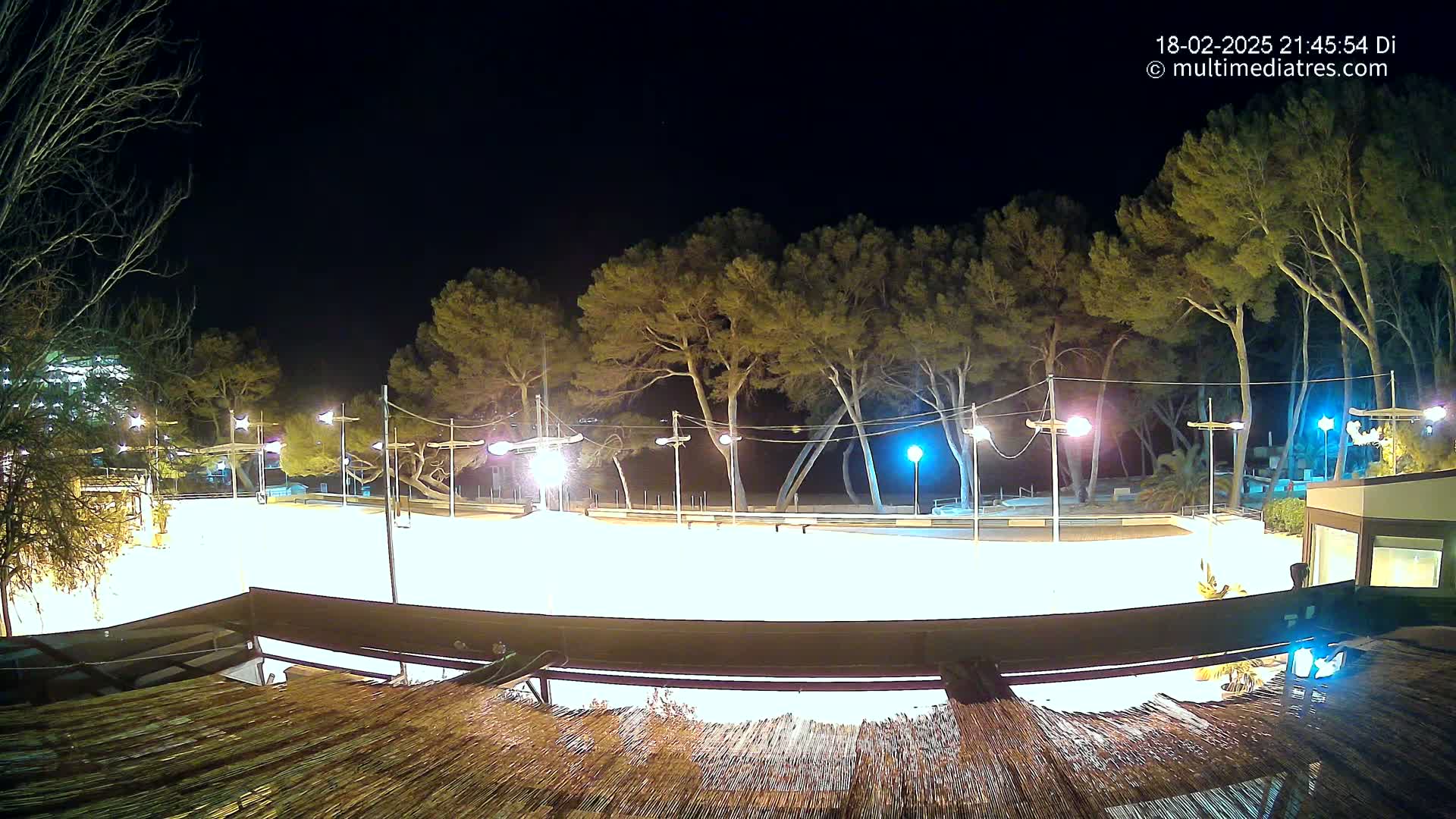 A brightly lit, empty skating rink at night, surrounded by trees and lit by overhead lights.