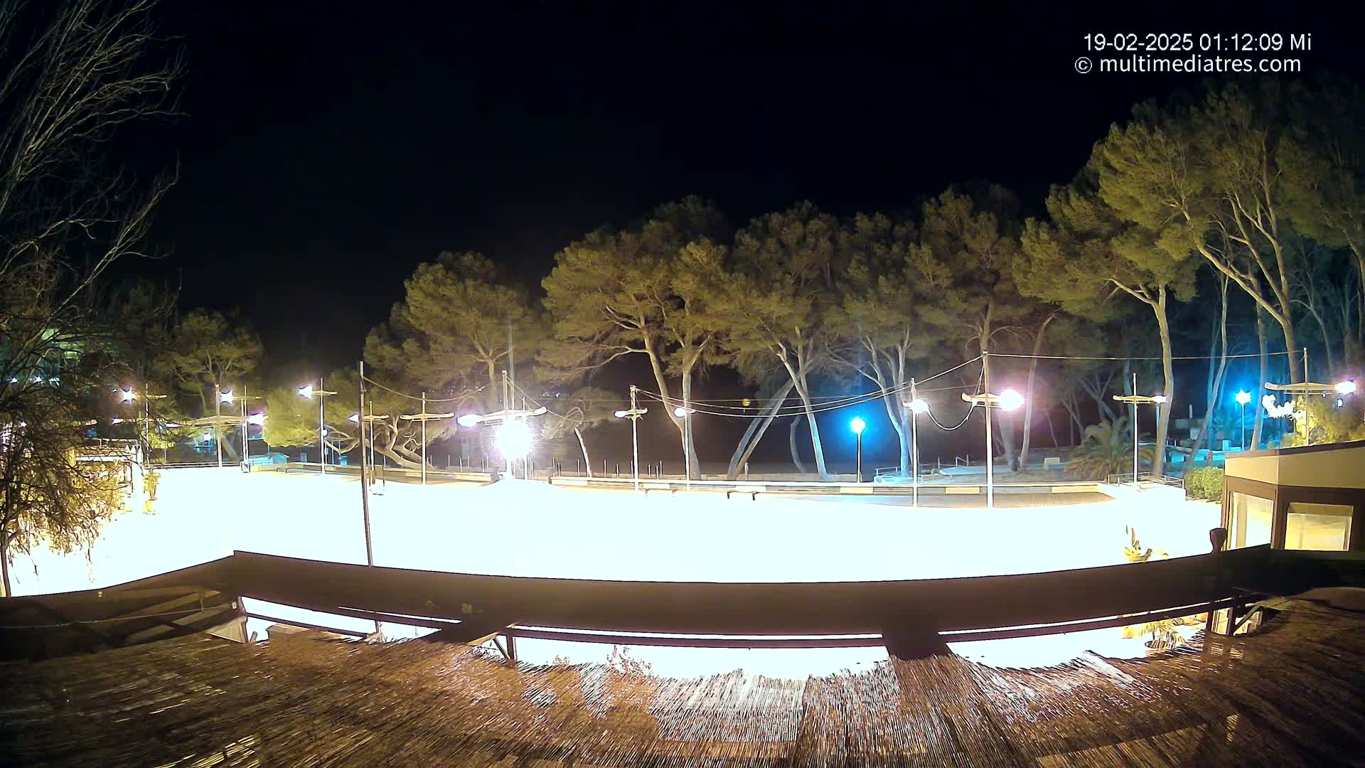 A brightly lit, empty plaza at night, surrounded by tall pine trees under a clear, dark sky.