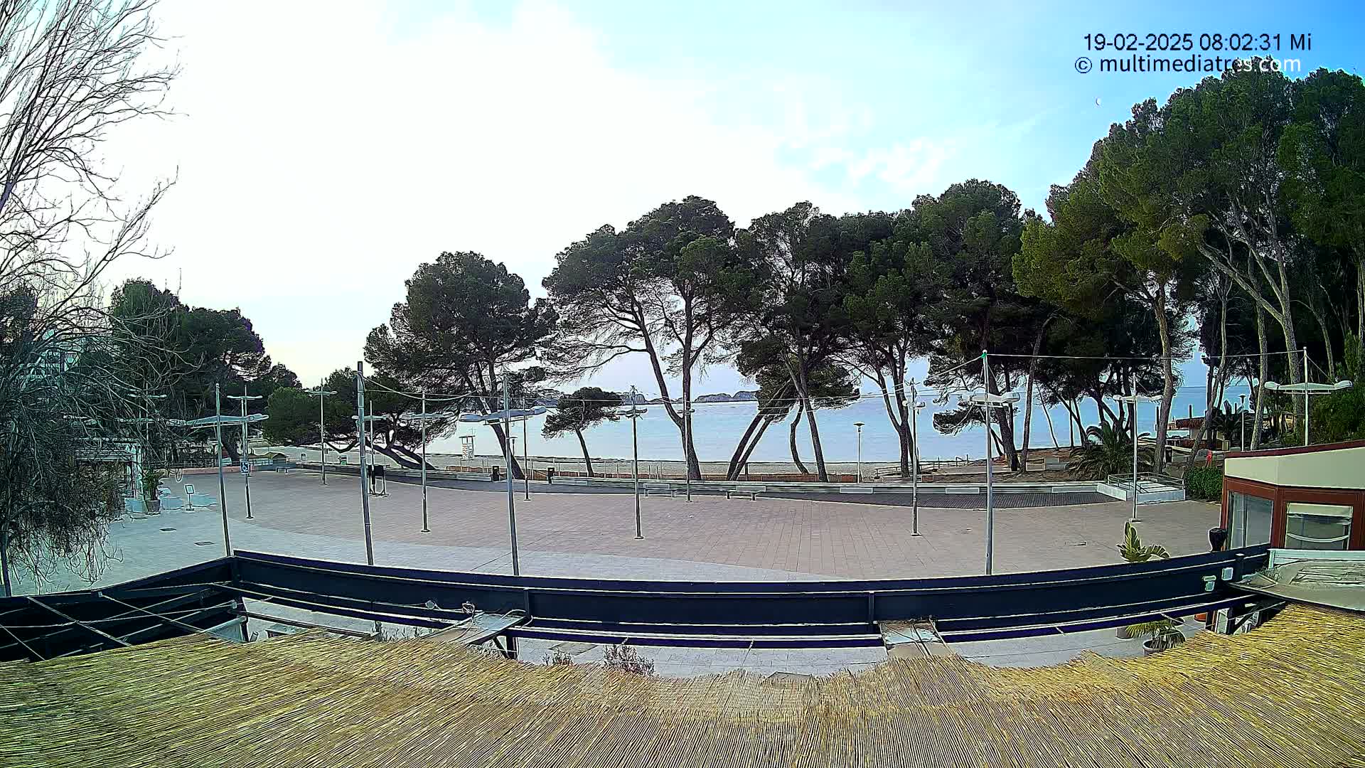 A mostly sunny outdoor view of a paved plaza with tall pine trees and a calm ocean in the background.