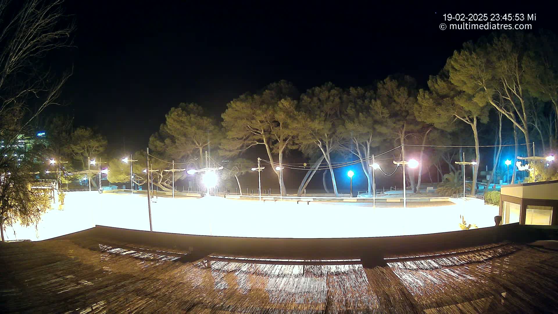 A brightly lit, empty plaza at night, surrounded by trees under a clear, dark sky.