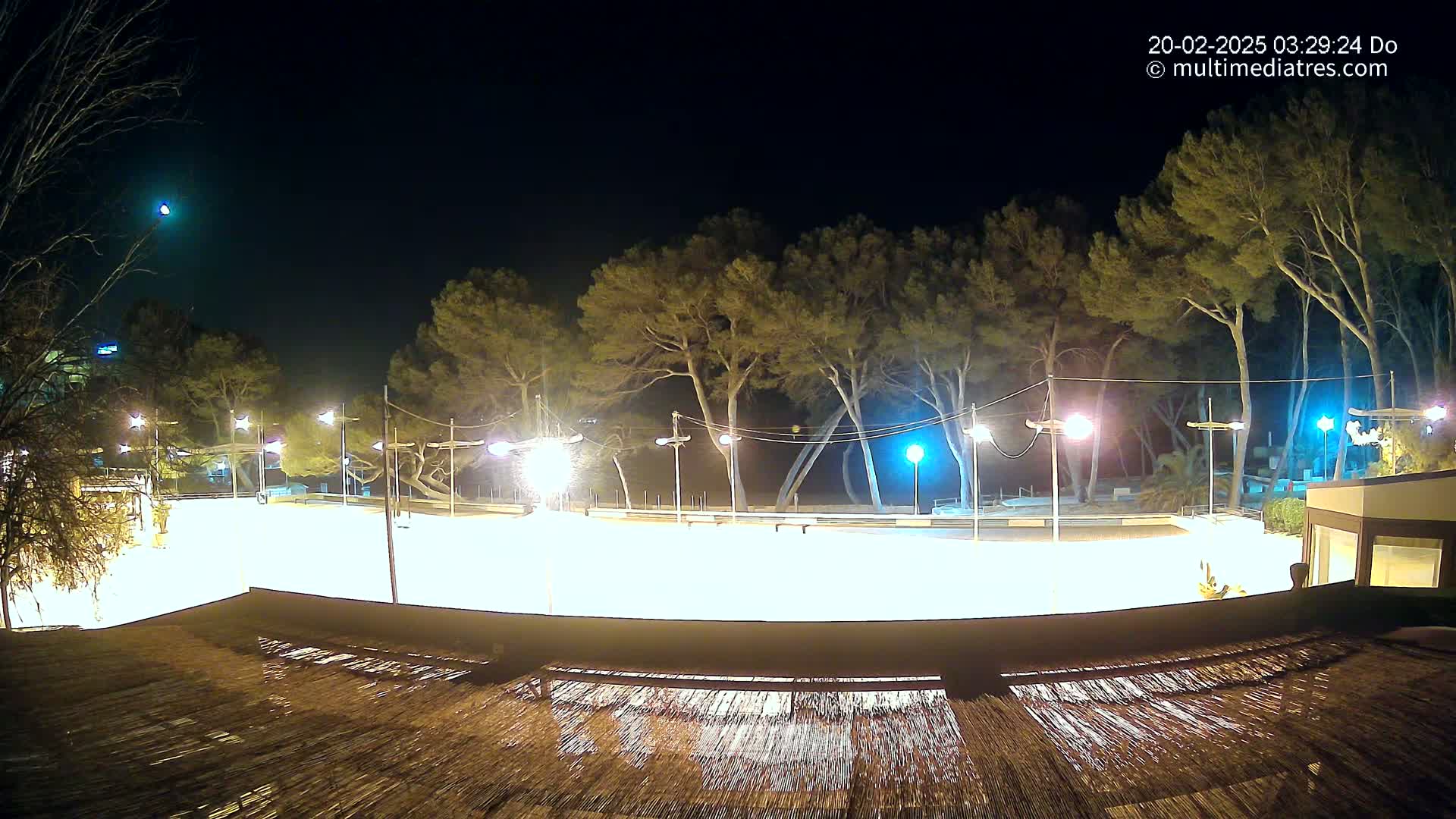 A brightly lit outdoor rink is surrounded by tall, dark trees under a clear night sky.