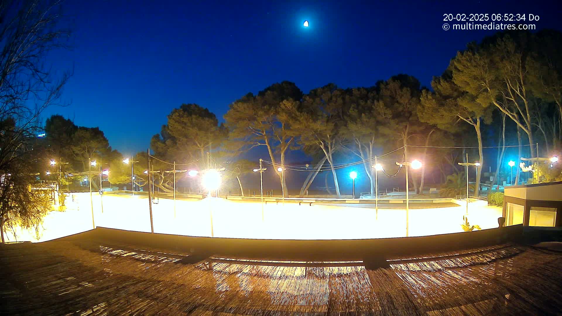 A brightly lit, empty paved area, possibly a plaza or rink, is surrounded by tall trees under a clear night sky with a visible moon.