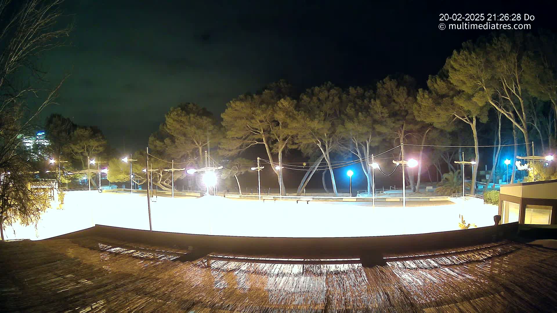 A brightly lit, empty outdoor rink at night, surrounded by trees under a dark sky.