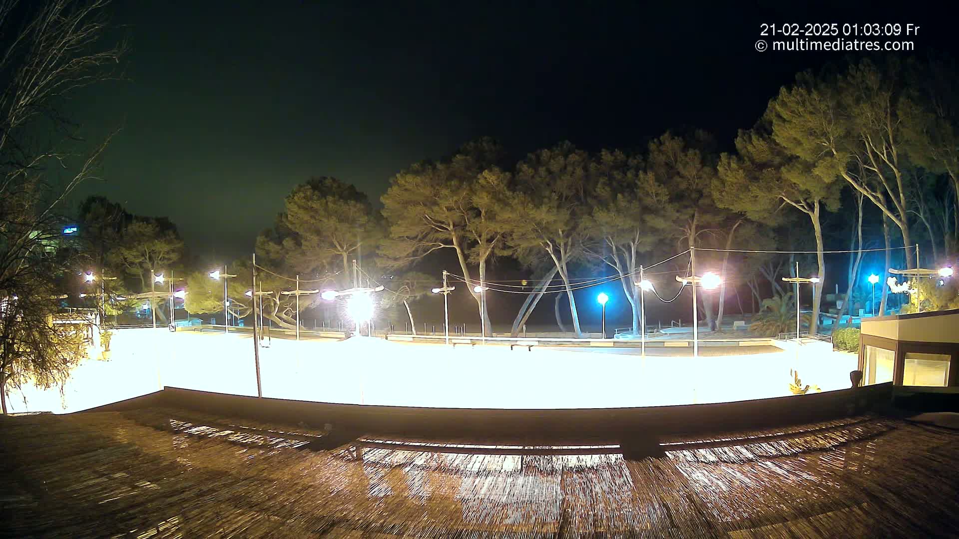 A brightly lit, empty skating rink at night, surrounded by tall pine trees under a dark sky.