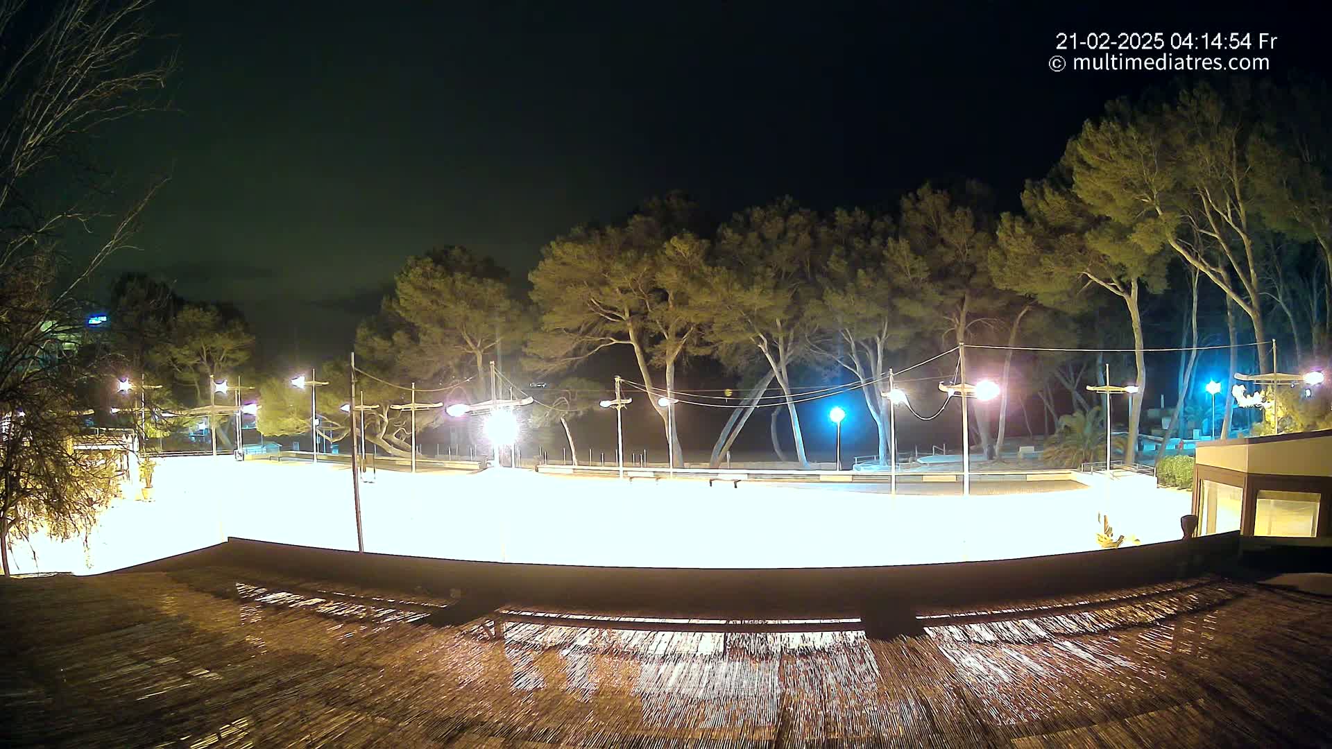 A brightly lit, empty outdoor rink at night, surrounded by tall, dark trees under a clear sky.
