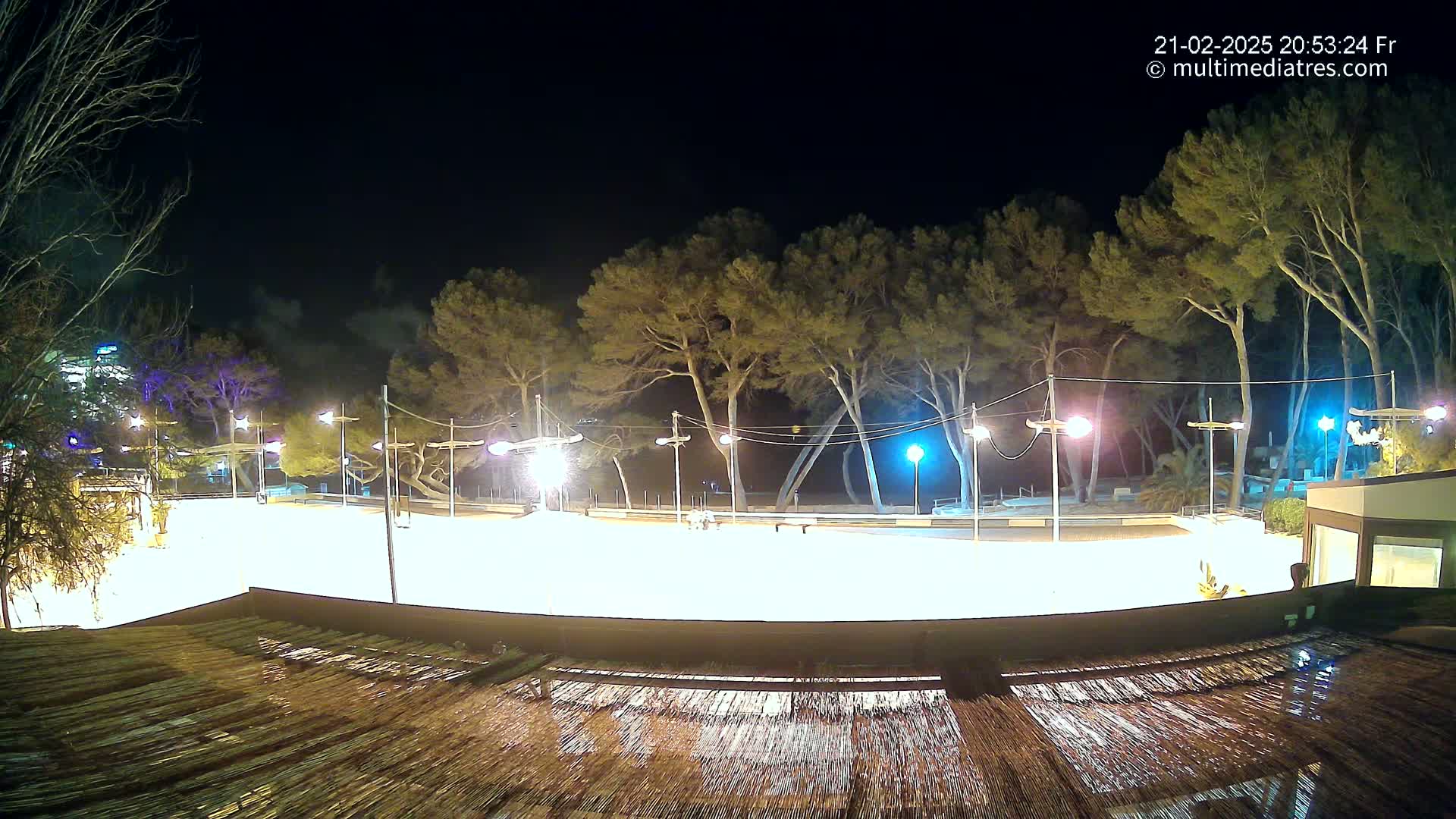 A brightly lit, empty outdoor ice rink at night, surrounded by trees and under a clear, dark sky.