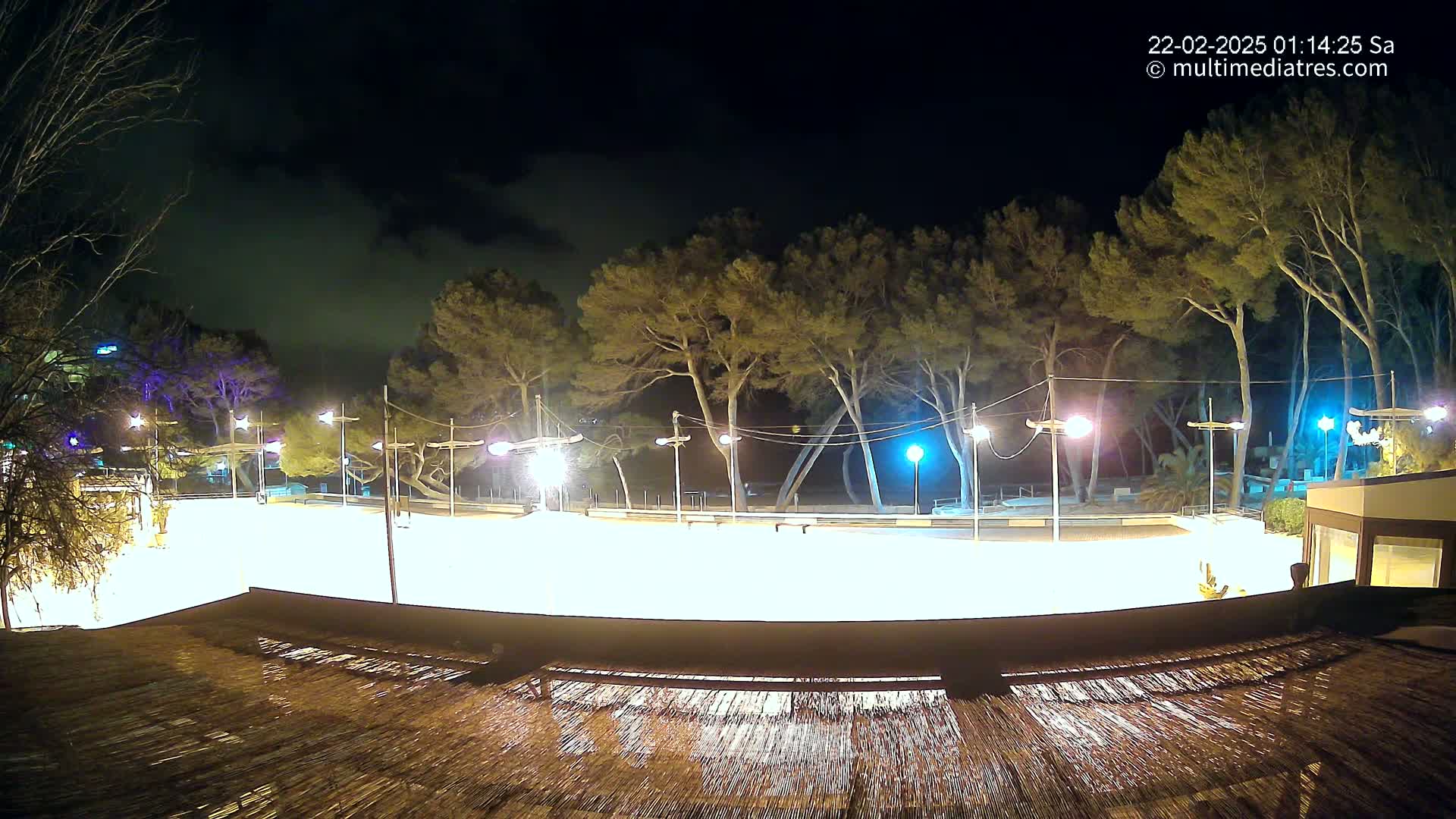 A brightly lit, empty paved area at night, surrounded by tall pine trees under a partly cloudy sky.