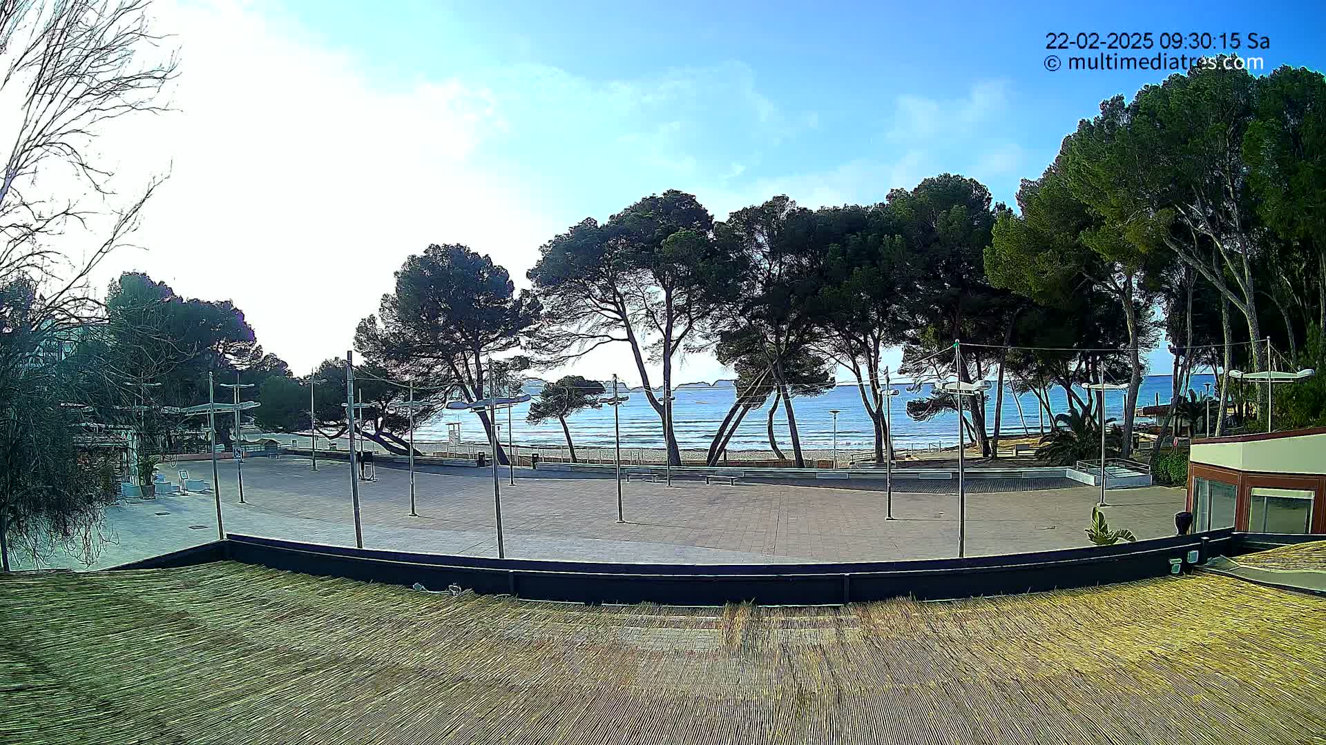 A paved plaza with lampposts overlooks a calm, blue ocean beach lined with pine trees under a mostly clear sky.