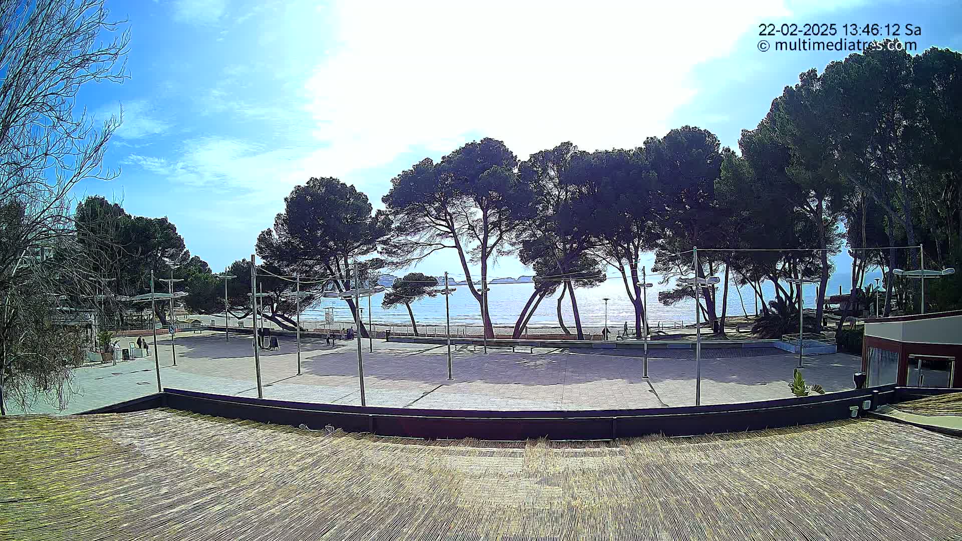 A paved plaza overlooks a sandy beach and calm ocean under a mostly sunny sky, with a row of pine trees lining the beachfront.