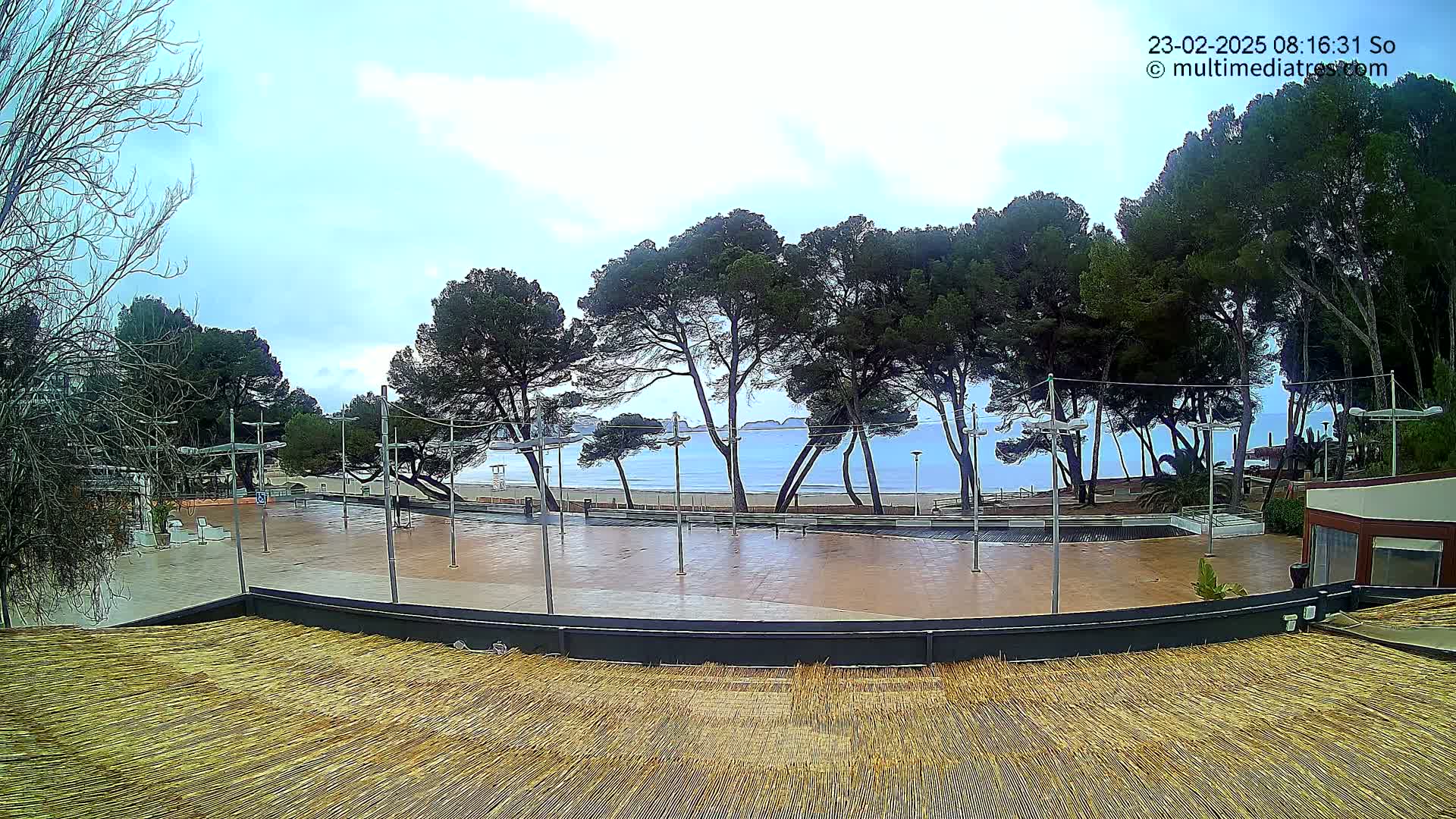 A mostly cloudy day reveals a paved outdoor plaza overlooking a calm ocean beach lined with pine trees.