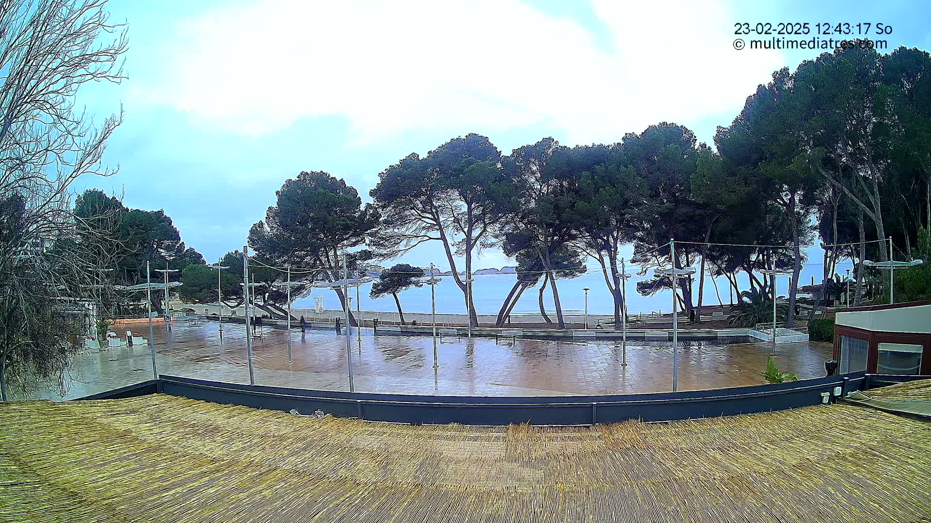 A wet, paved plaza overlooks a calm ocean beach lined with pine trees under a mostly cloudy sky.