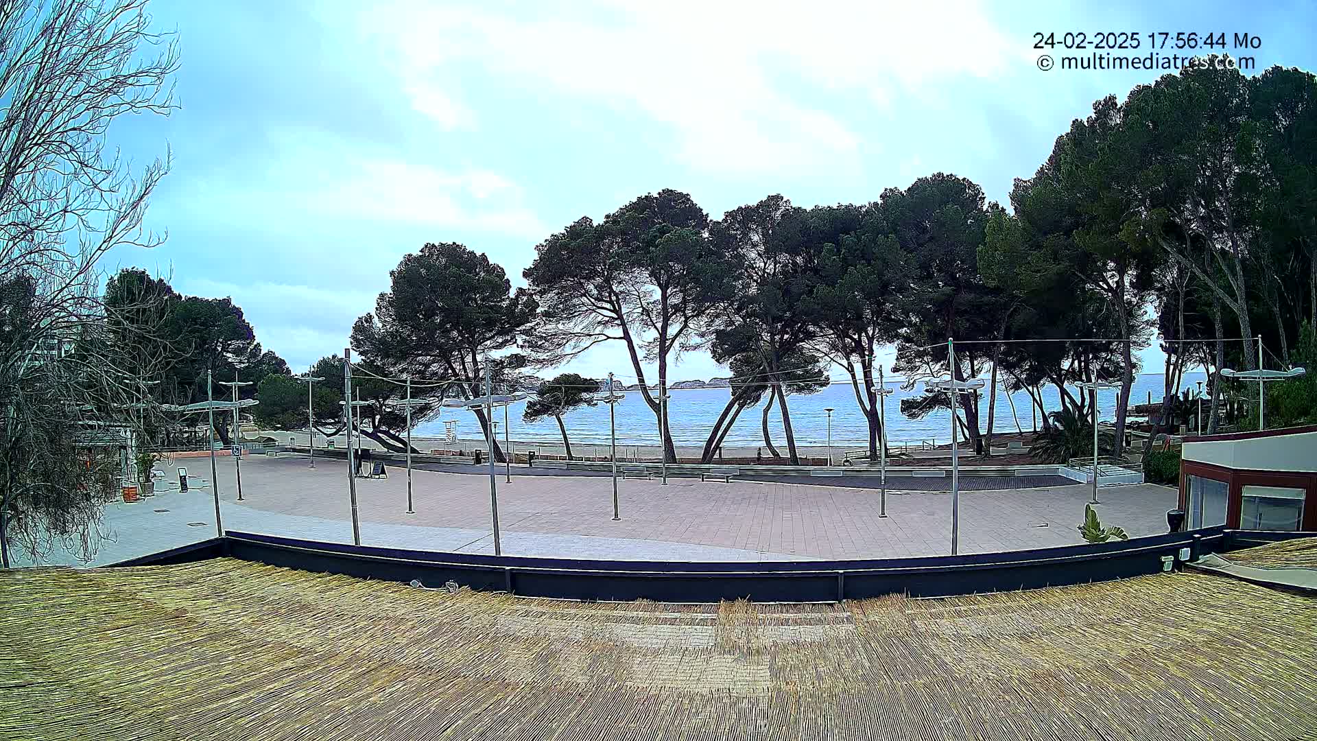An empty plaza with a view of a calm ocean under a mostly cloudy sky, bordered by a row of pine trees.