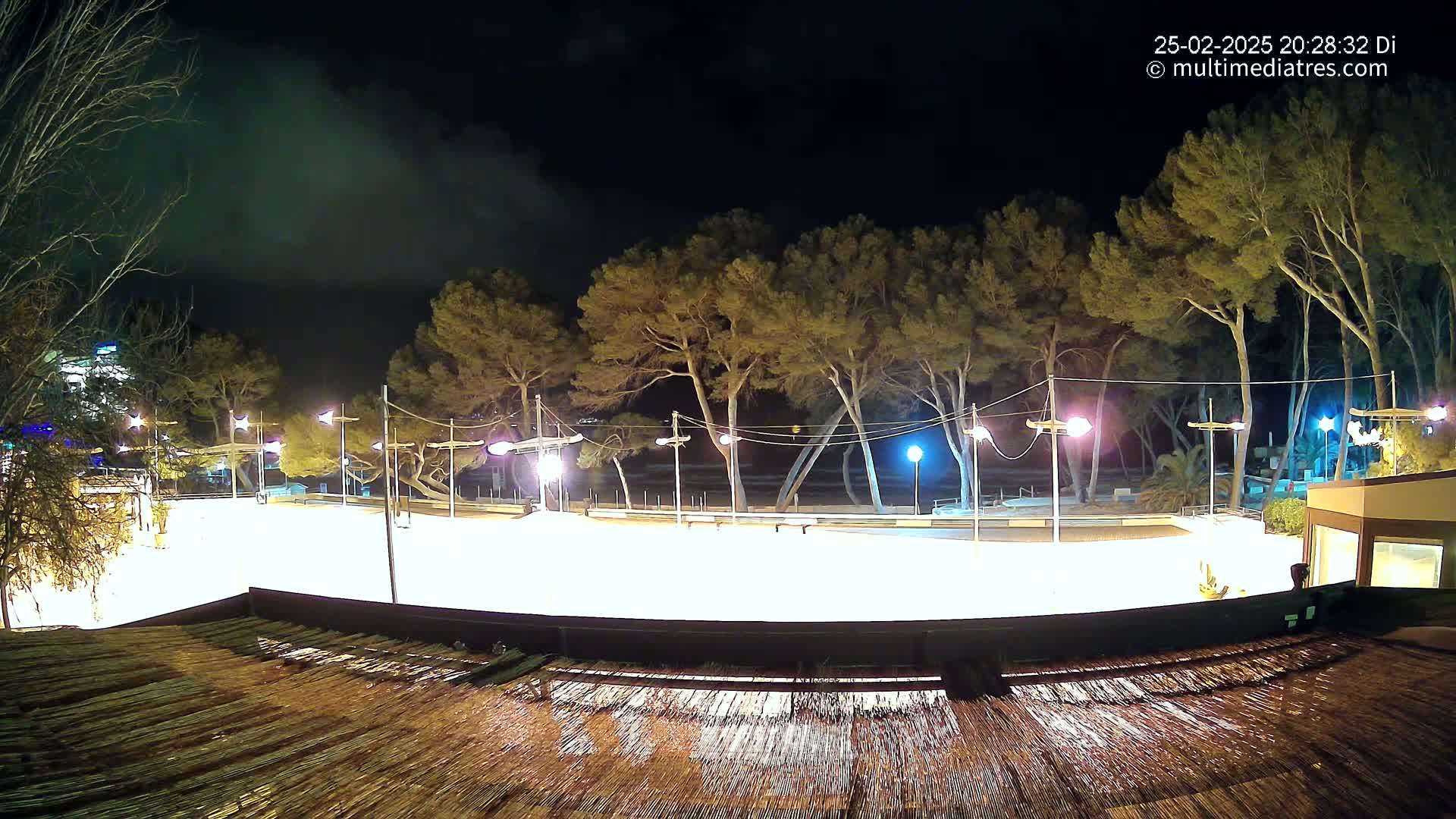 A brightly lit, empty ice rink at night is surrounded by tall, slender pine trees under a cloudy sky.