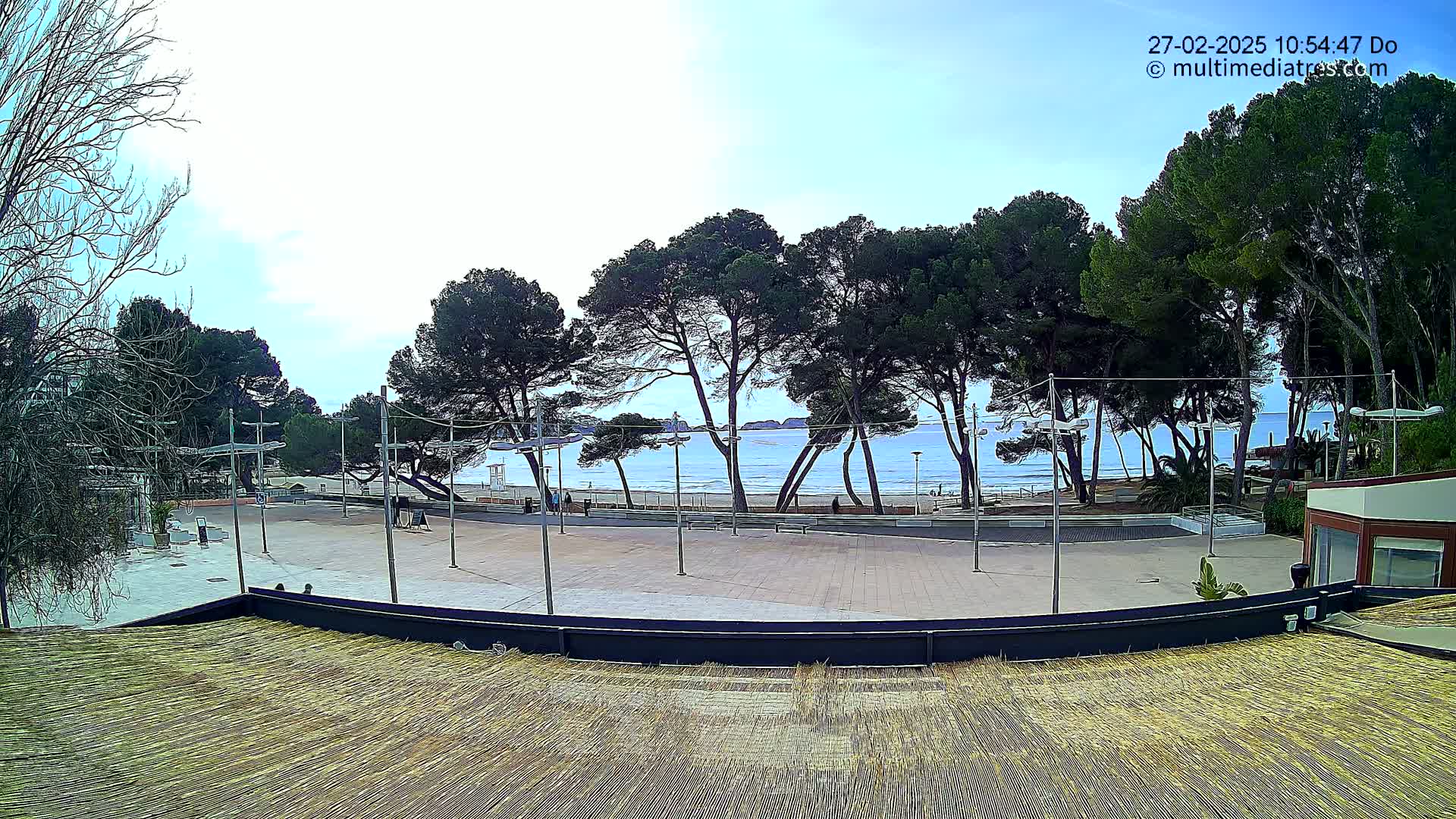 A paved plaza with tall pine trees overlooks a calm ocean beach under a mostly clear sky.