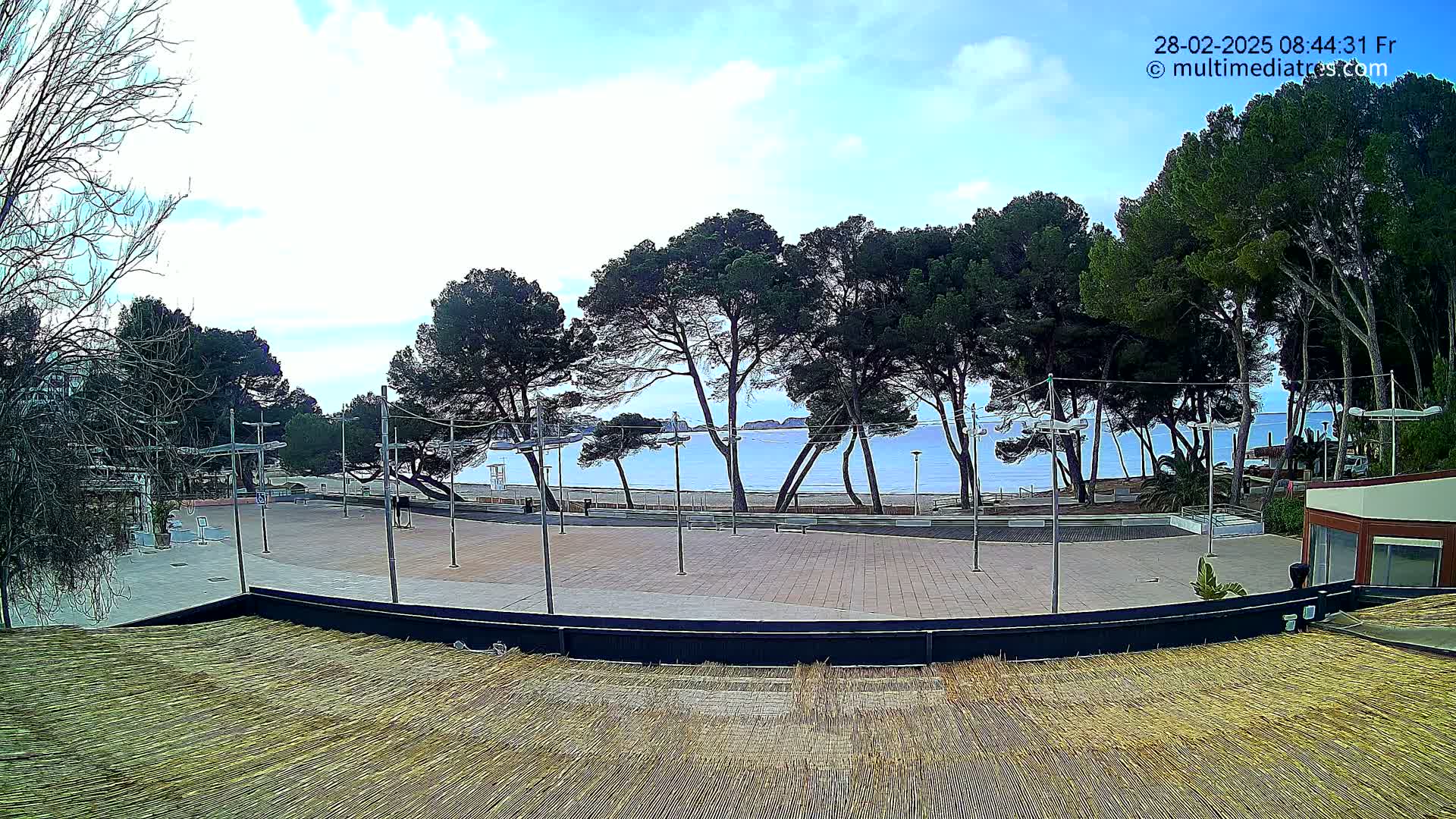 A mostly sunny day reveals a paved plaza overlooking a calm, blue sea with a sandy beach, beyond a line of tall, dark green pine trees.