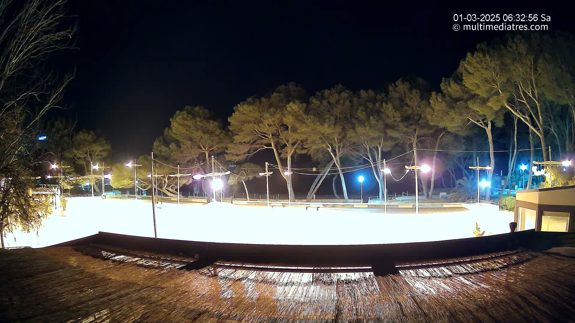 A brightly lit, empty skating rink at night, surrounded by tall trees under a dark sky.