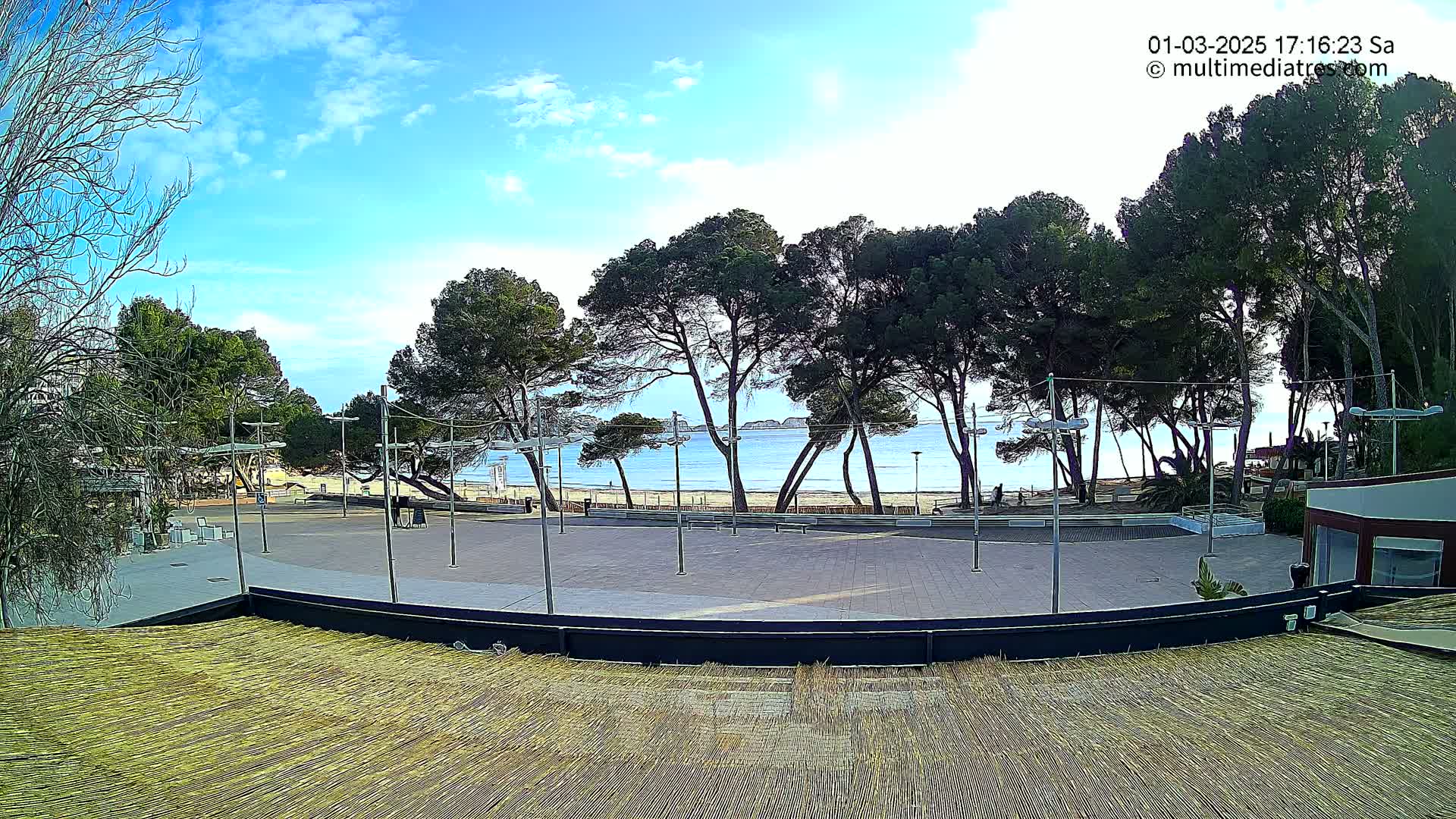 A paved plaza overlooks a calm ocean beach, lined with tall pine trees under a partly cloudy sky.