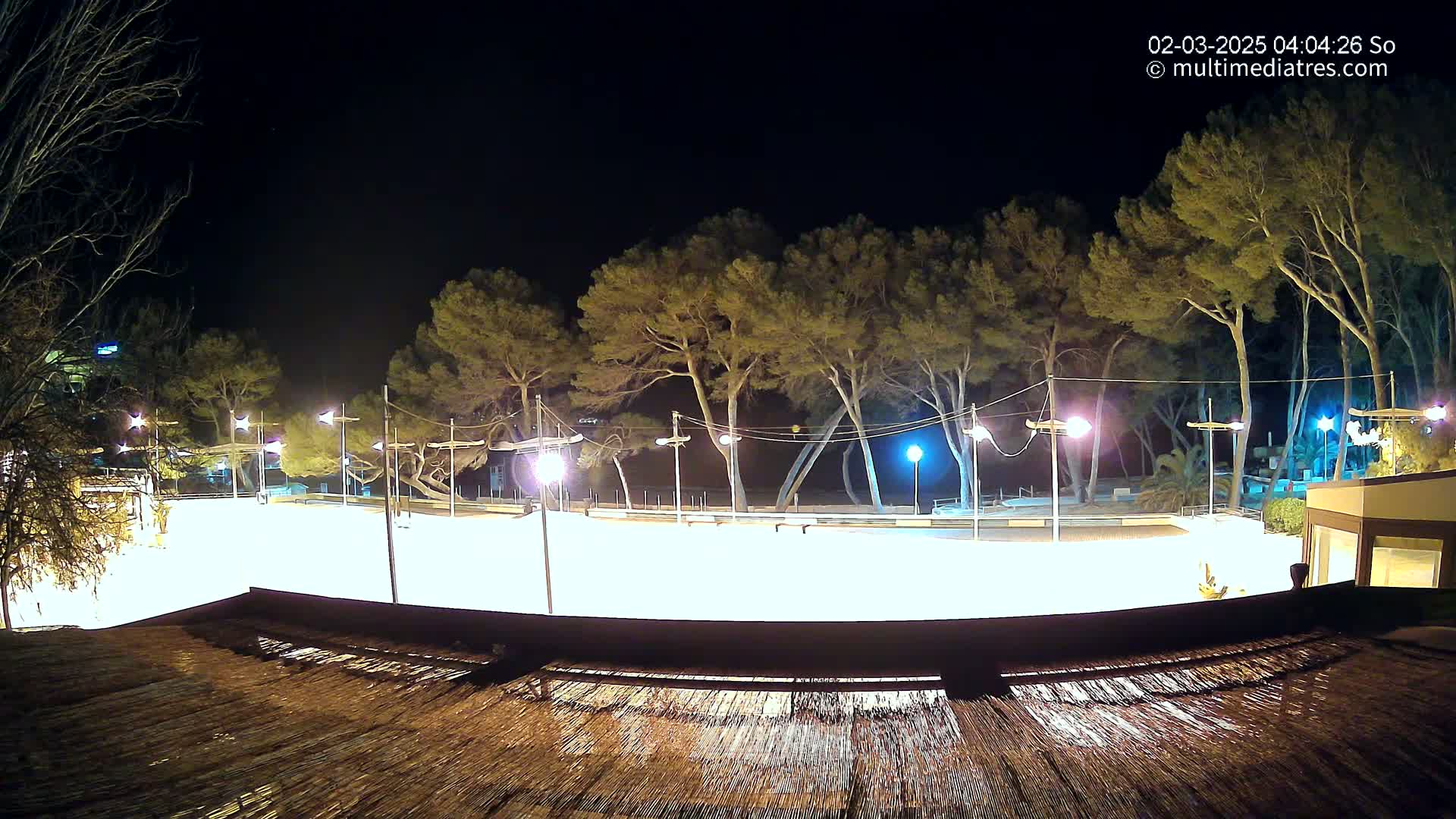 A brightly lit, empty skating rink at night, surrounded by tall trees under a clear, dark sky.