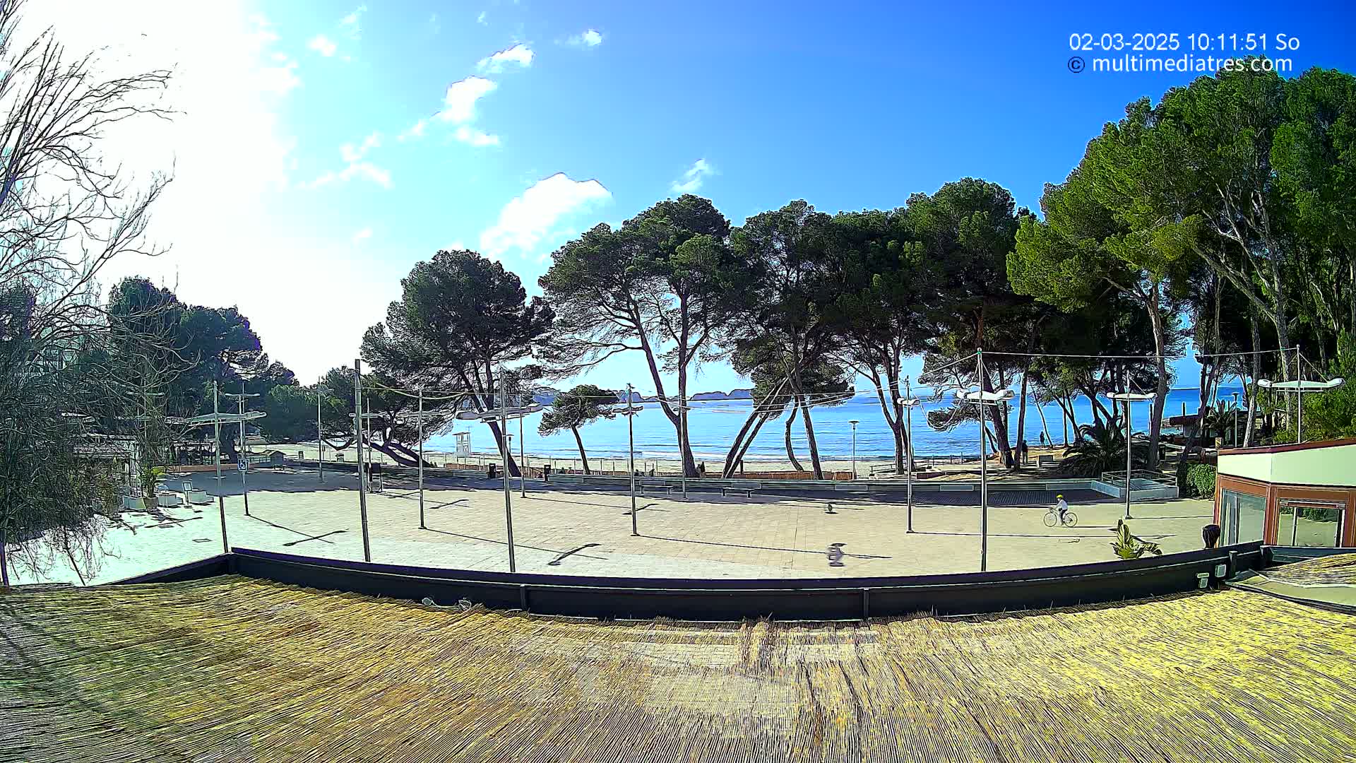 A paved plaza overlooks a sandy beach and calm blue ocean under a mostly sunny sky, with a line of pine trees between the plaza and the water, and a lone cyclist on the plaza.