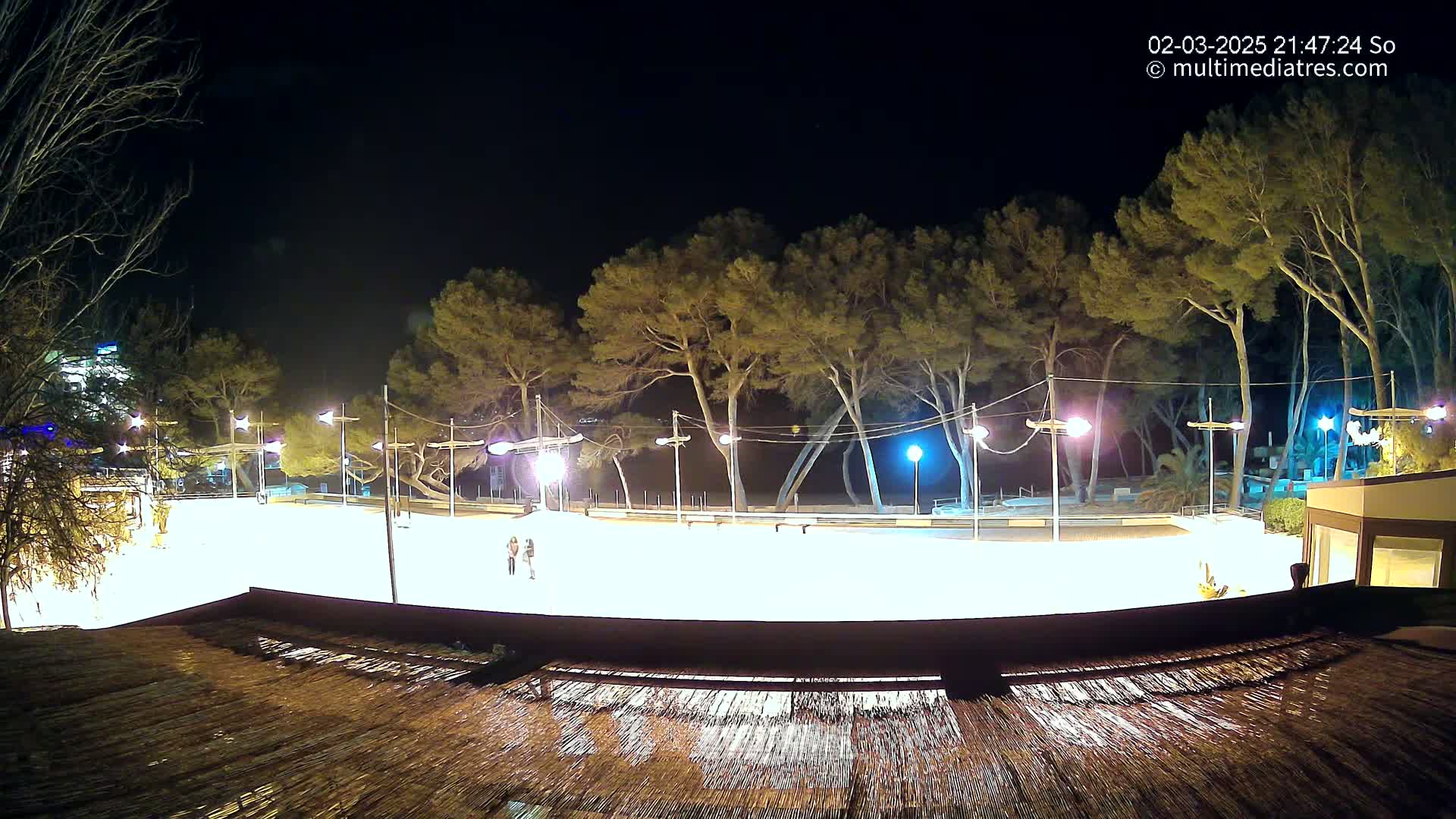 A brightly lit, empty skating rink at night, surrounded by tall trees under a clear, dark sky.