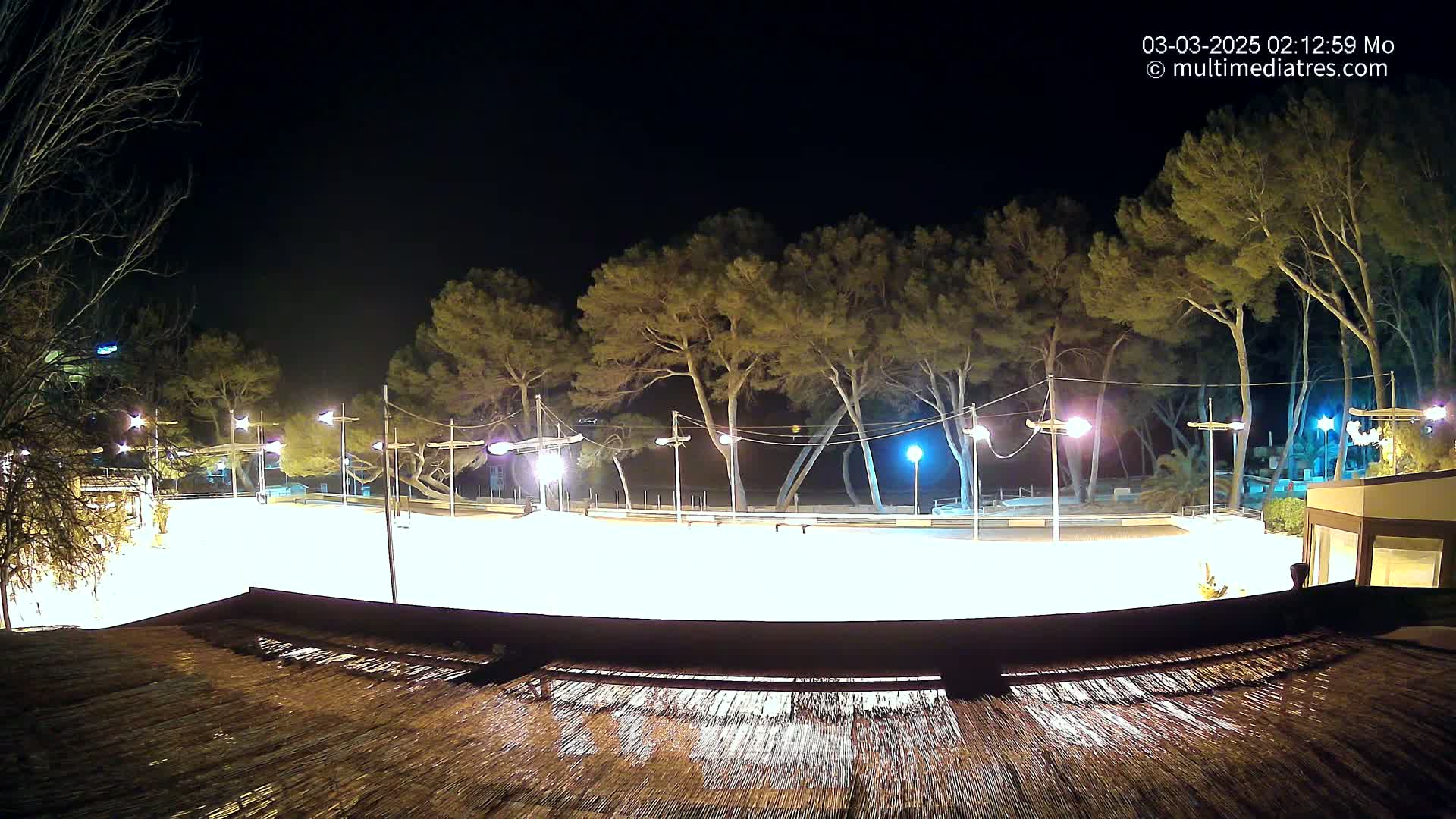 A brightly lit, empty, paved outdoor area surrounded by trees at night.