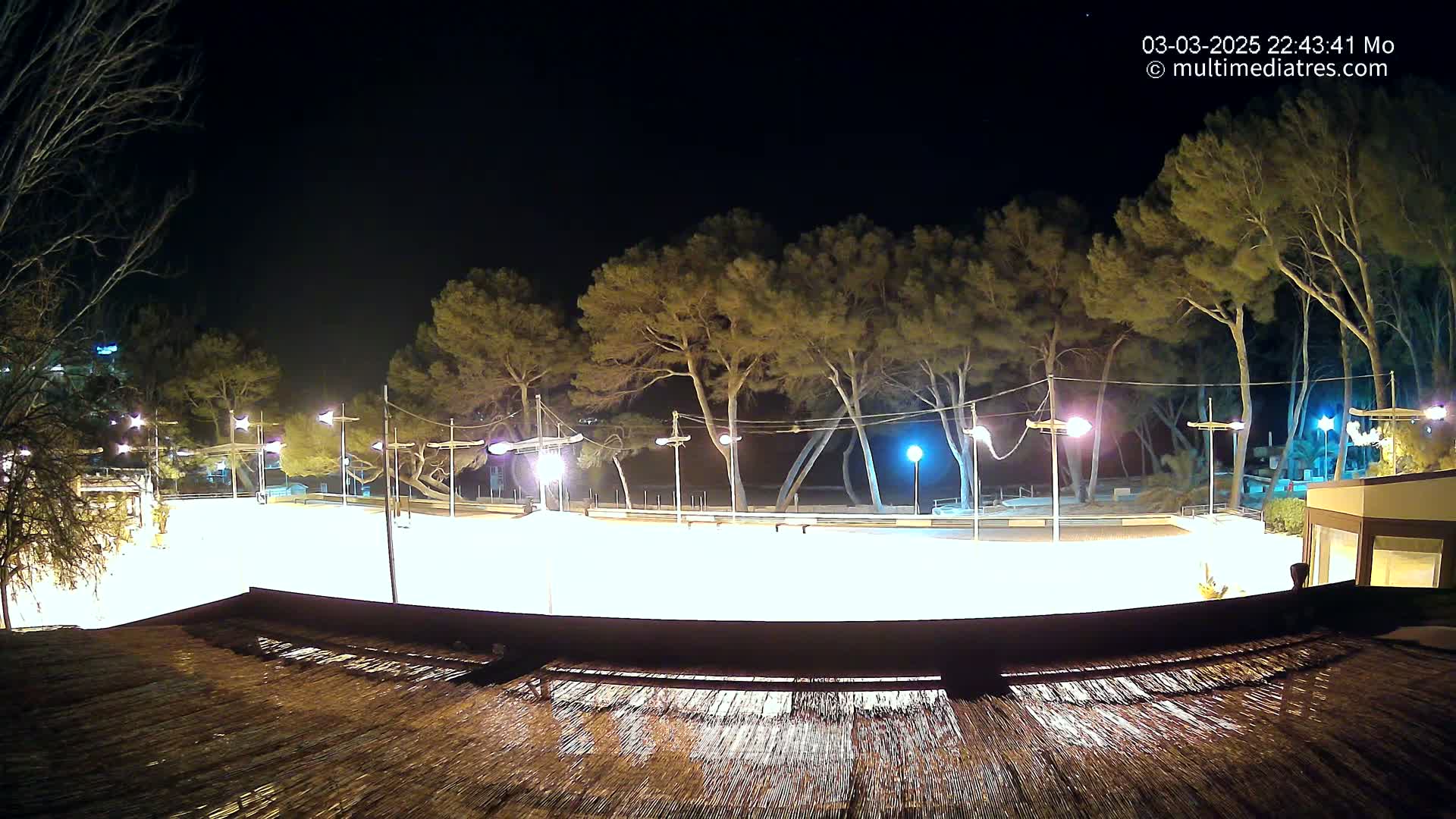 A brightly lit, empty skating rink at night, surrounded by tall trees under a clear, dark sky.