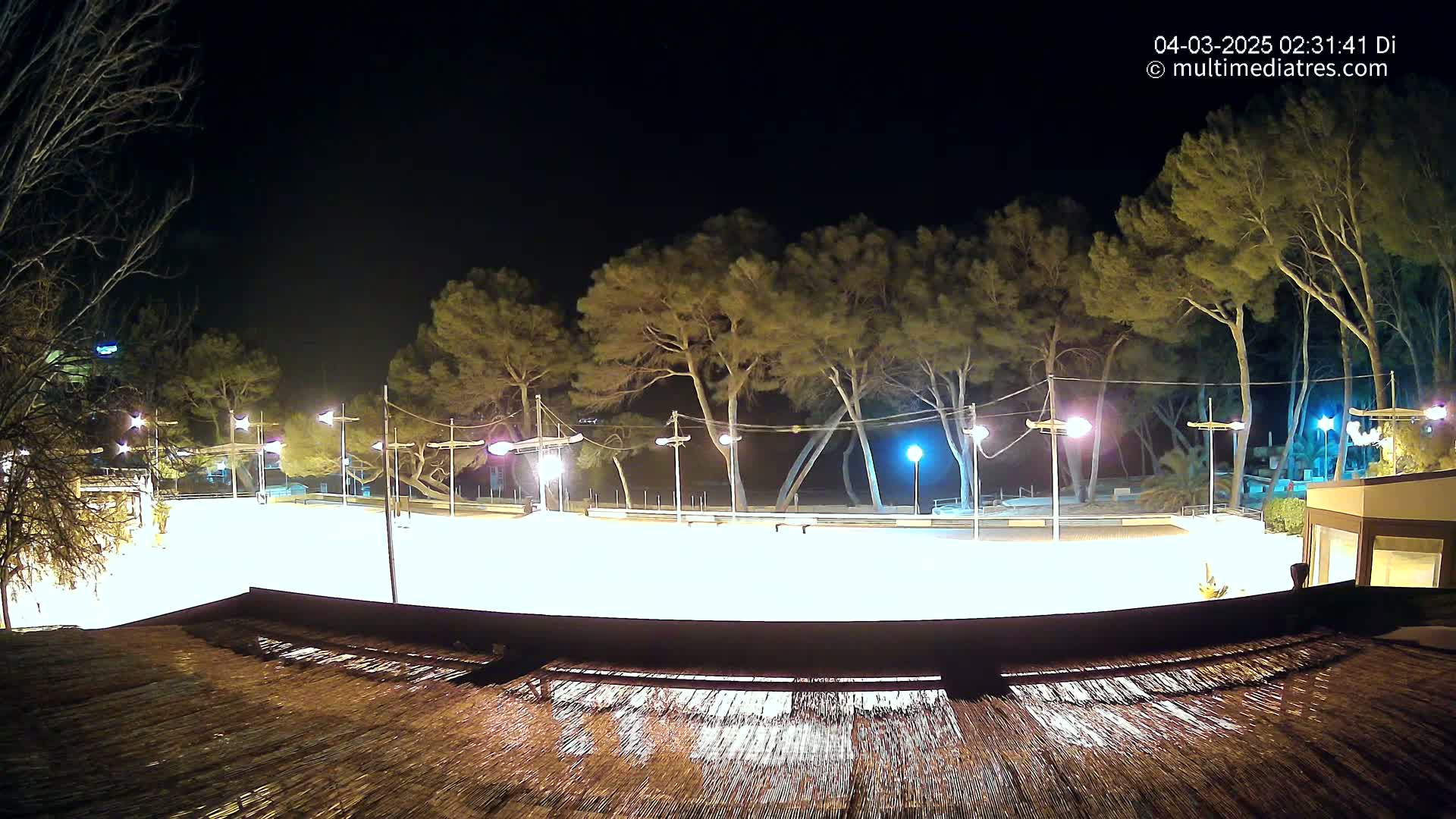 A brightly lit, empty skating rink at night, surrounded by trees under a dark sky.