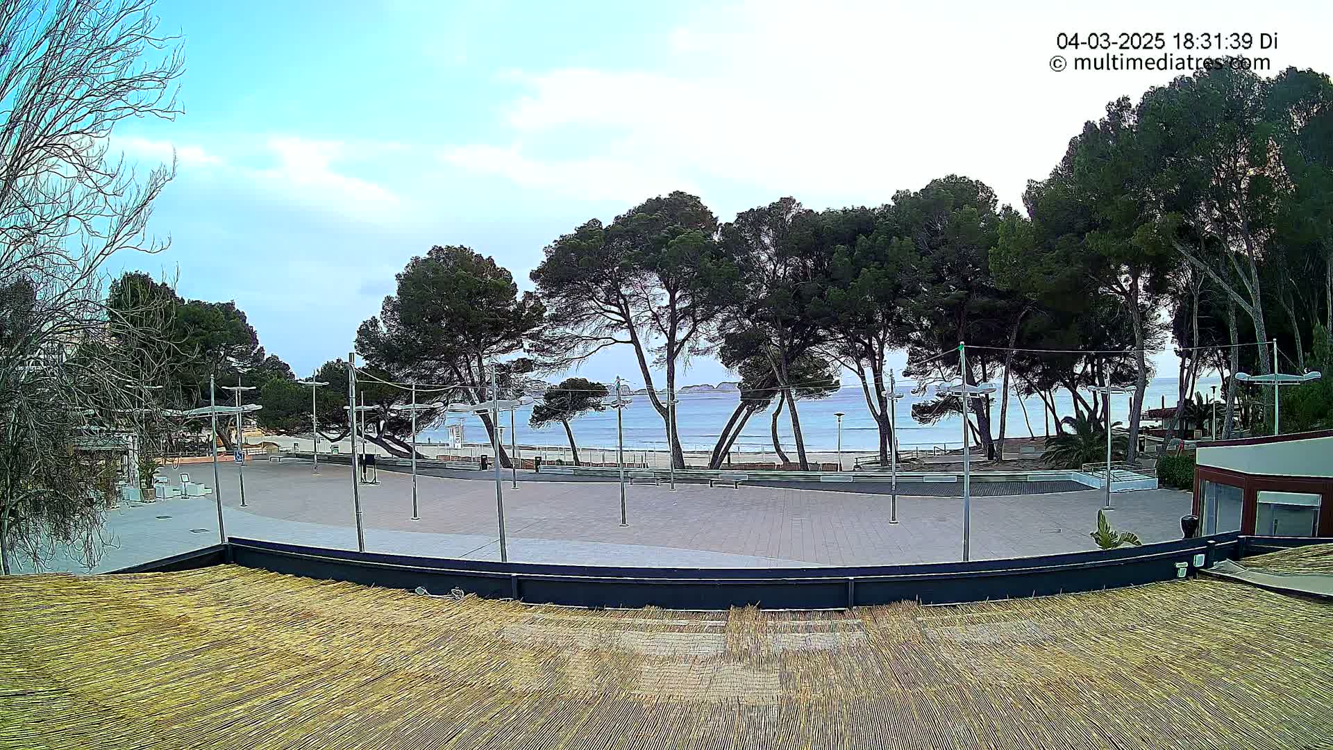A mostly sunny day reveals a paved plaza overlooking a tranquil beach and calm ocean, bordered by a row of tall pine trees.