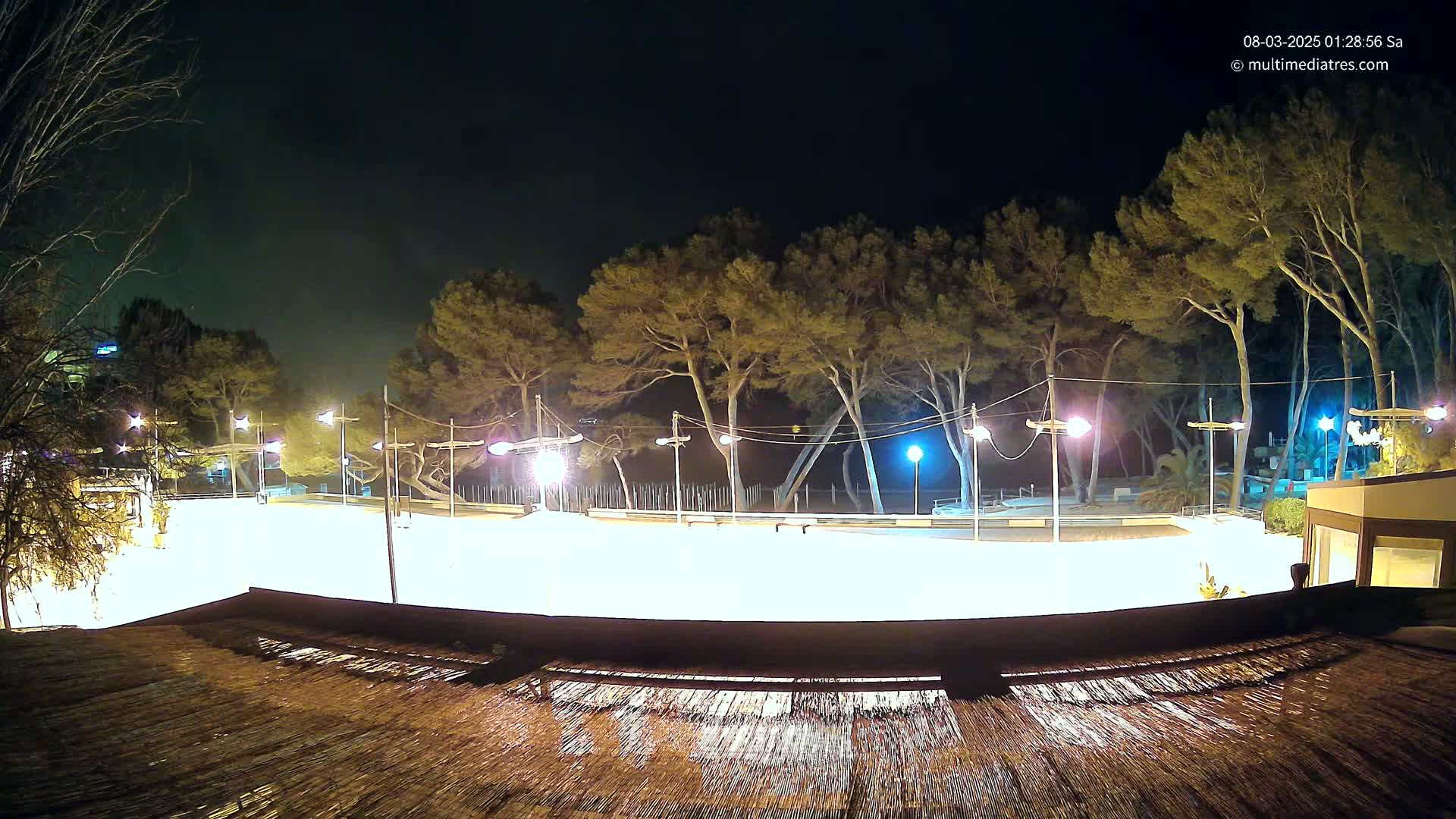 A brightly lit, empty skating rink at night, surrounded by tall, dark pine trees under a dark sky.