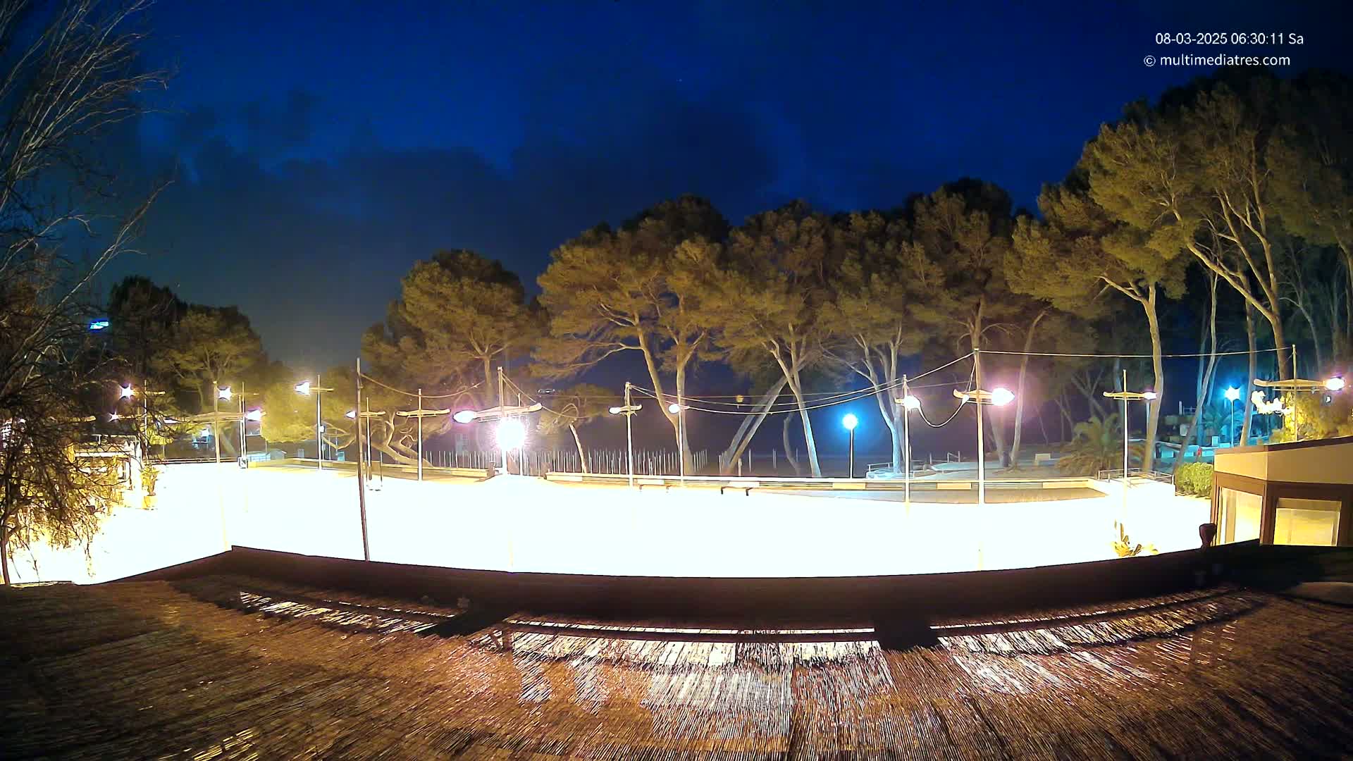 A brightly lit, empty outdoor rink is surrounded by tall pine trees under a partly cloudy night sky.