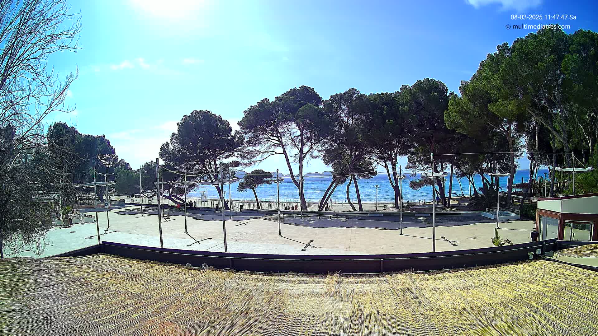 A paved plaza overlooks a calm blue ocean, backed by a line of pine trees under a sunny sky.