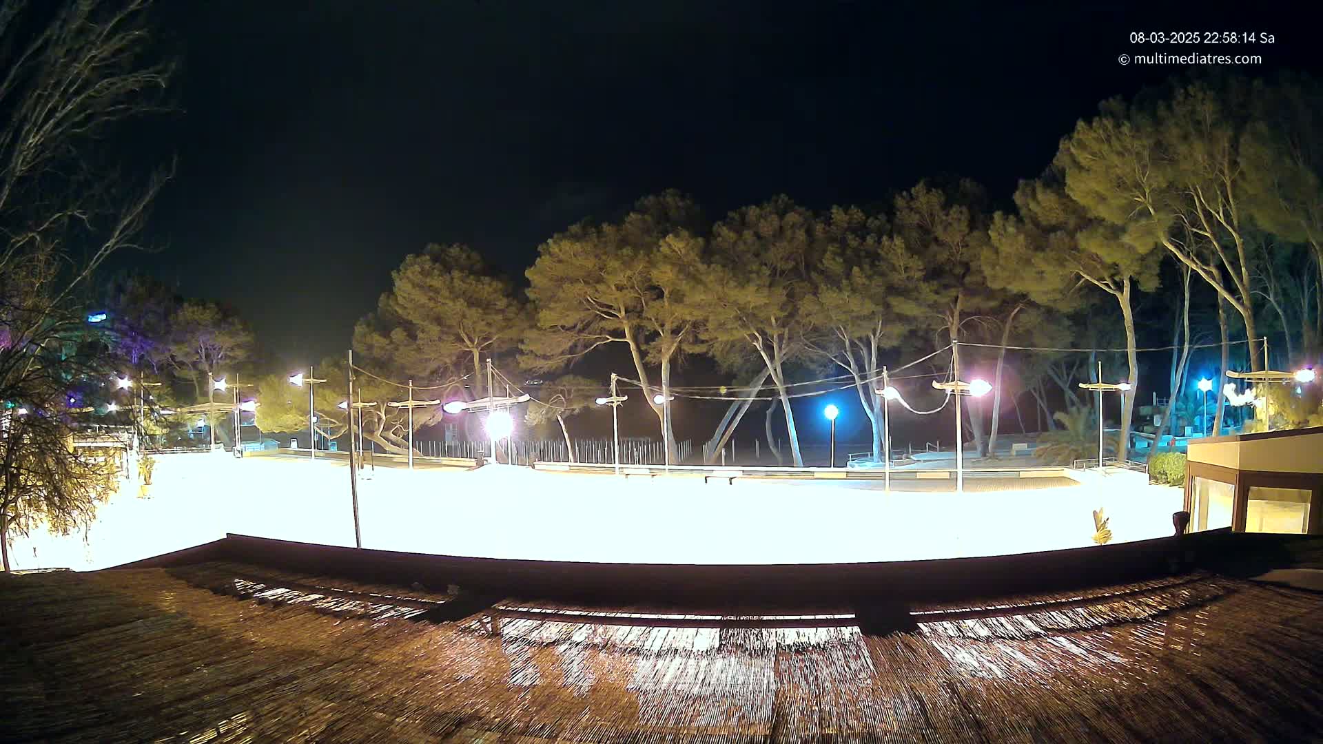 A brightly lit, empty outdoor rink is surrounded by tall, dark pine trees under a clear night sky.