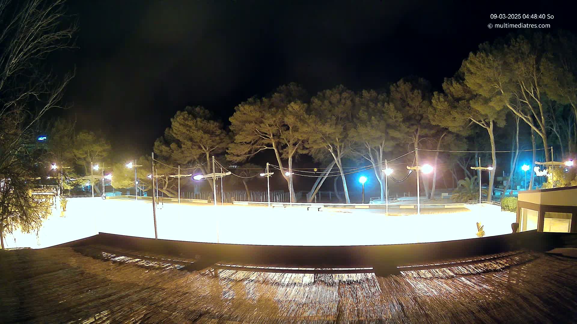 A brightly lit, empty skating rink at night, surrounded by tall pine trees under a clear, dark sky.
