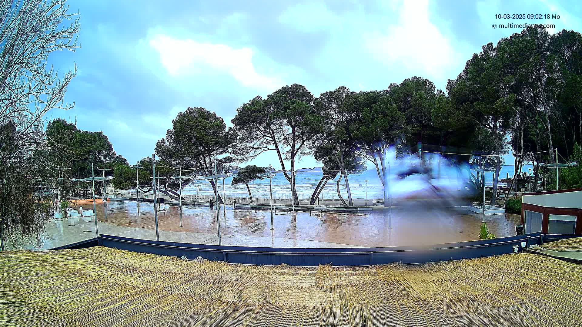 A wet paved area overlooks a beach with choppy water under a partly cloudy sky, surrounded by several pine trees.