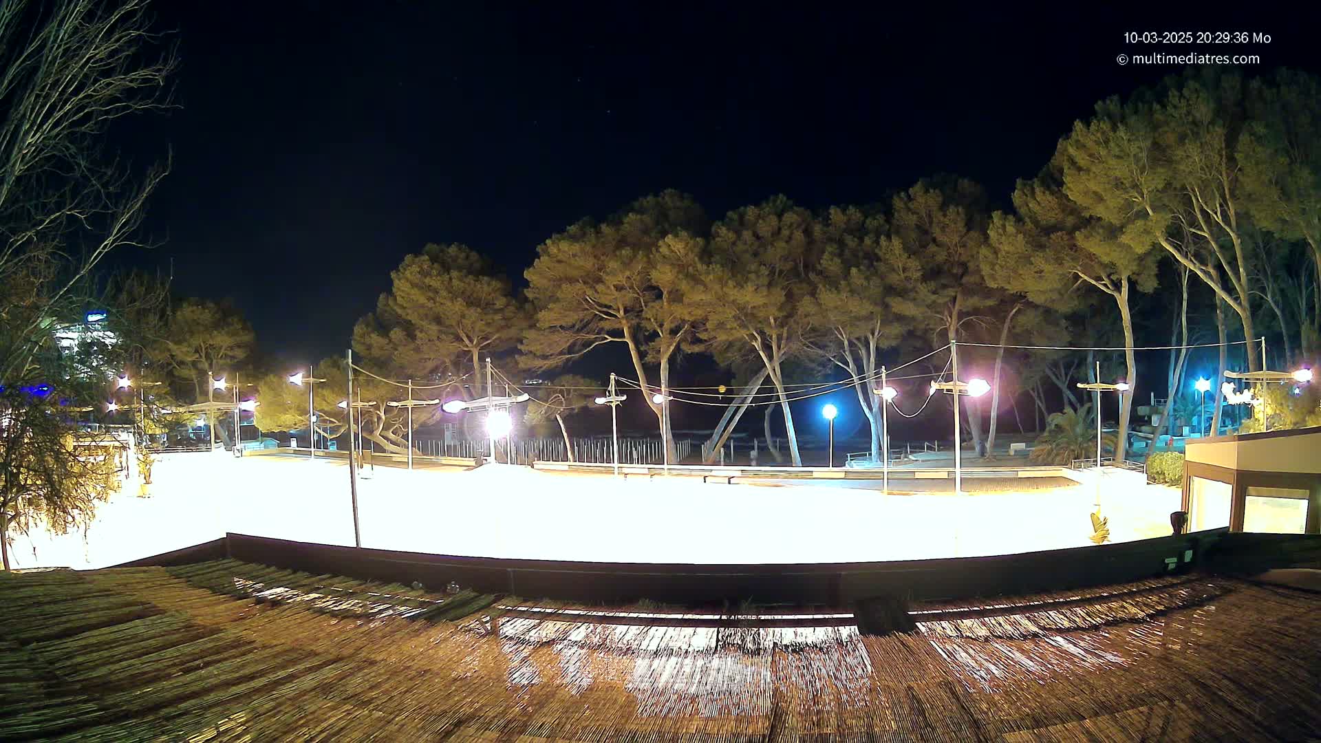 A brightly lit, empty outdoor rink is surrounded by tall pine trees under a clear night sky.