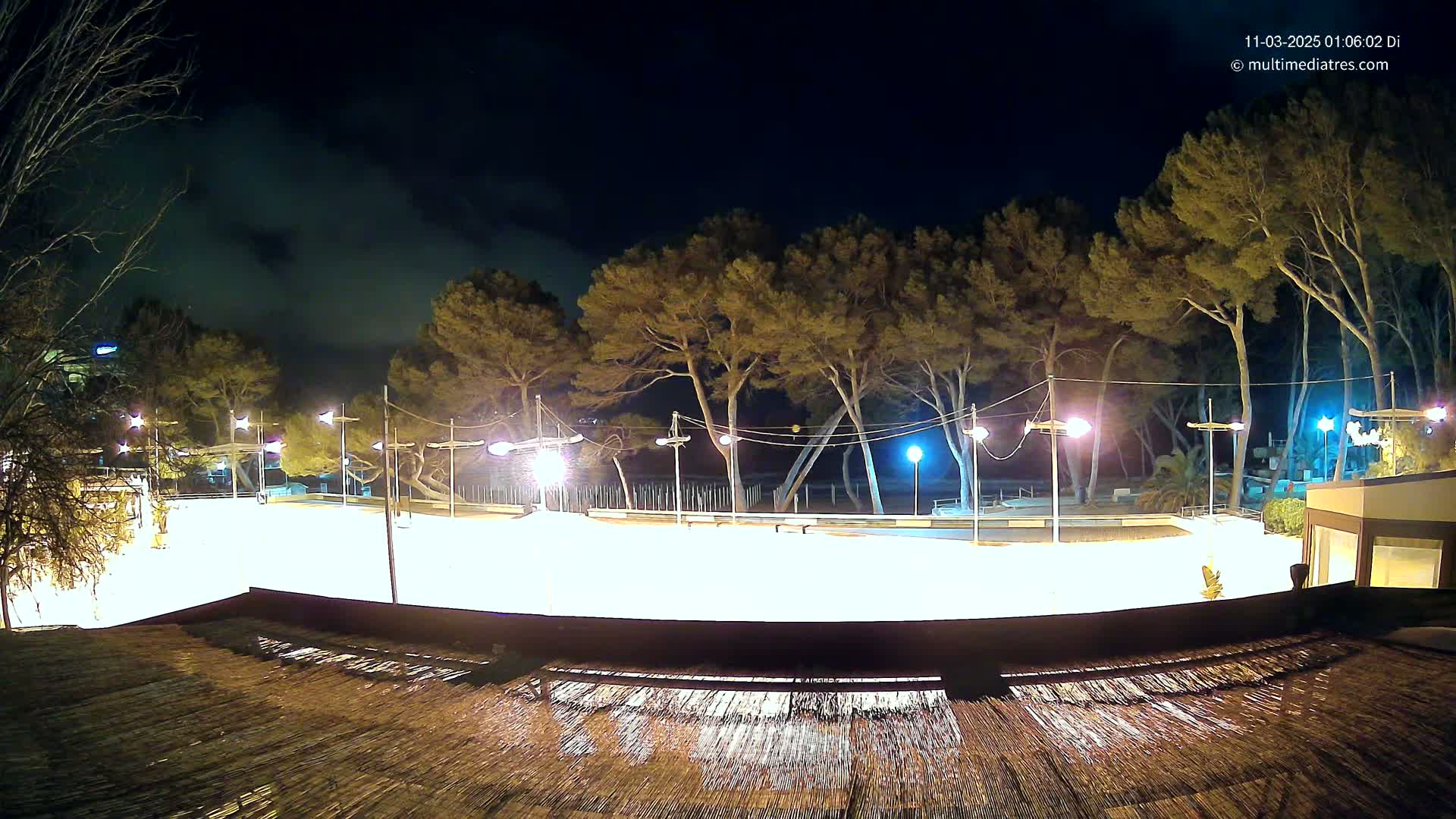 A brightly lit, empty paved area at night, surrounded by tall pine trees under a partly cloudy sky.