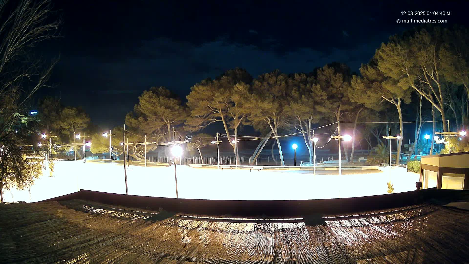 A brightly lit, empty skating rink at night, surrounded by pine trees under a partly cloudy sky.