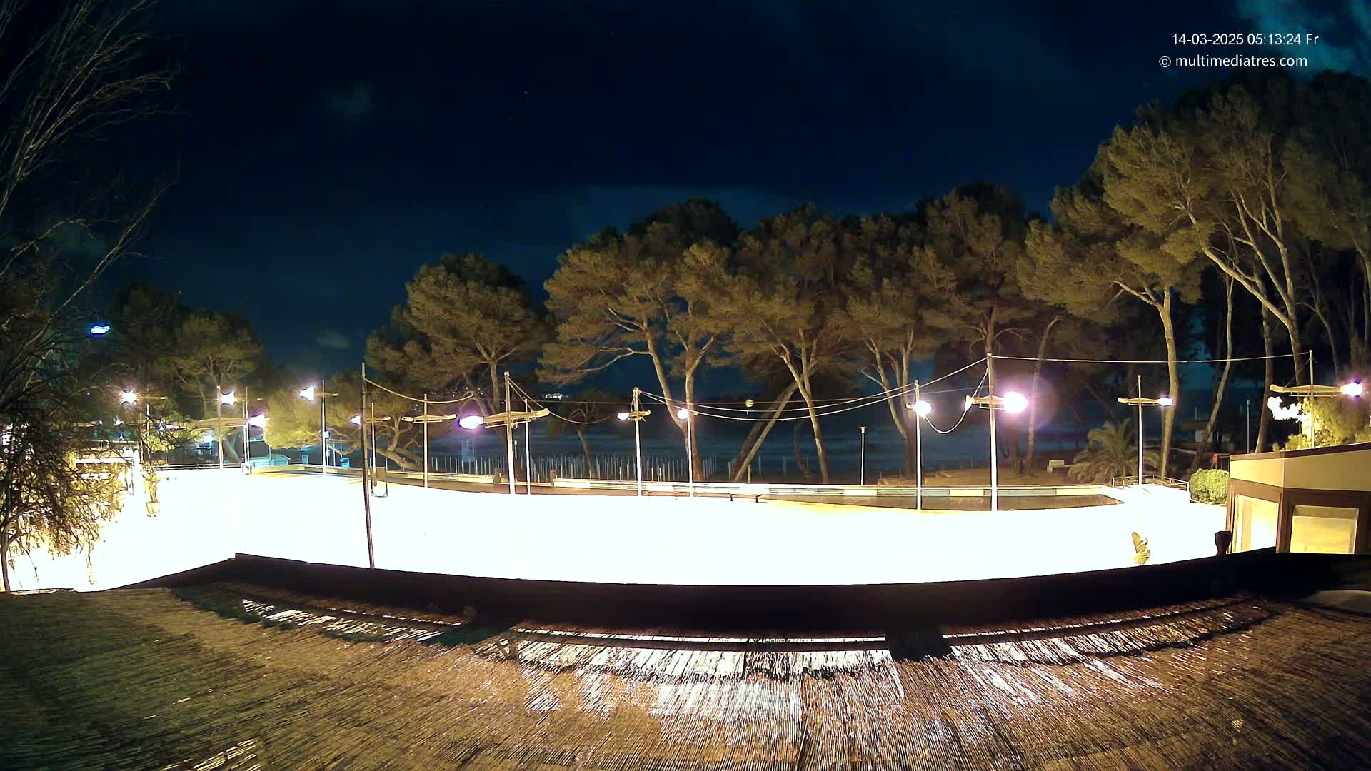 A brightly lit, empty outdoor rink sits near a dark beach under a night sky, surrounded by tall, slender trees and illuminated by numerous streetlights.