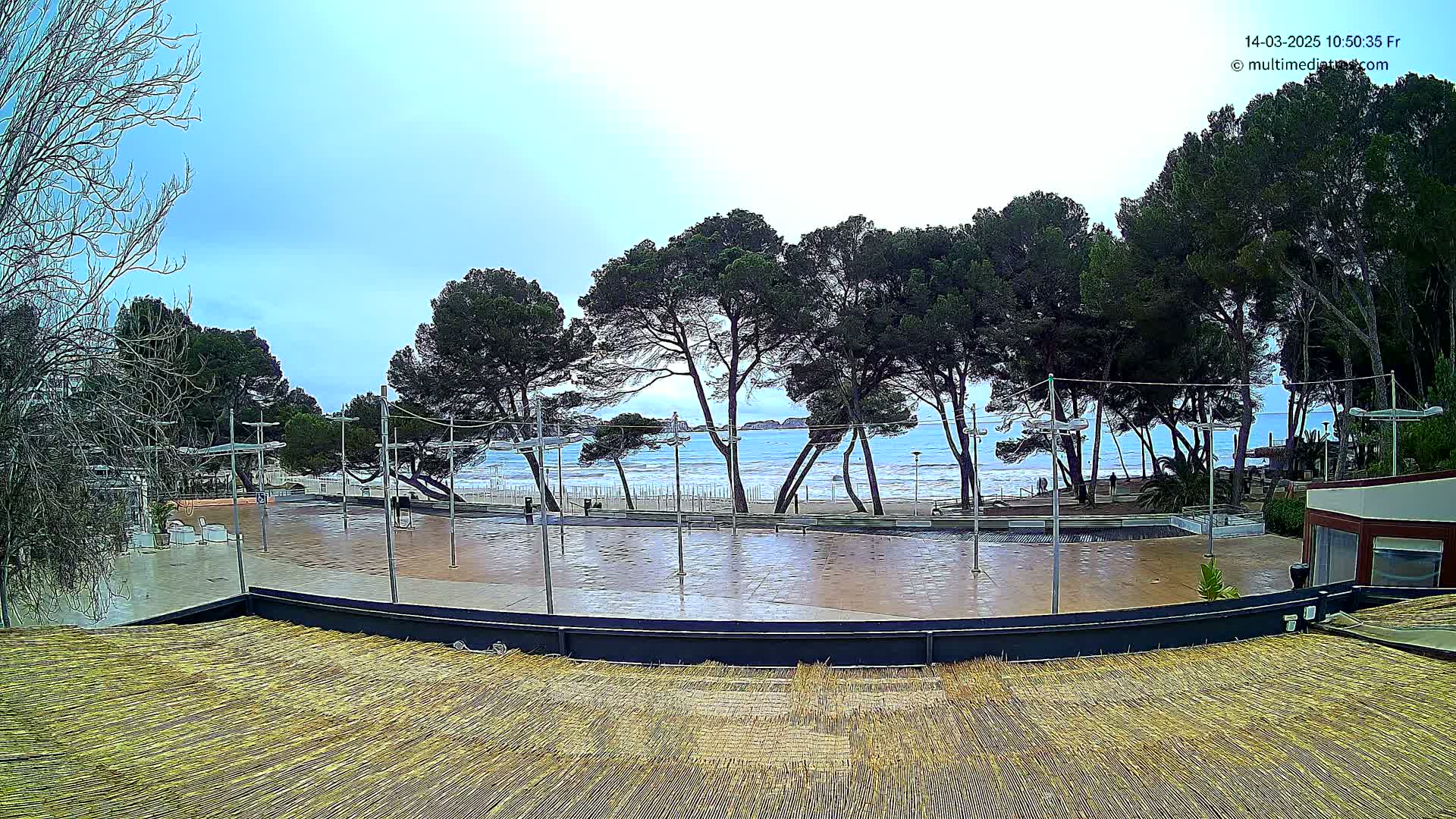 A wet, paved plaza overlooks a beach with a calm sea under an overcast sky, surrounded by tall pine trees.