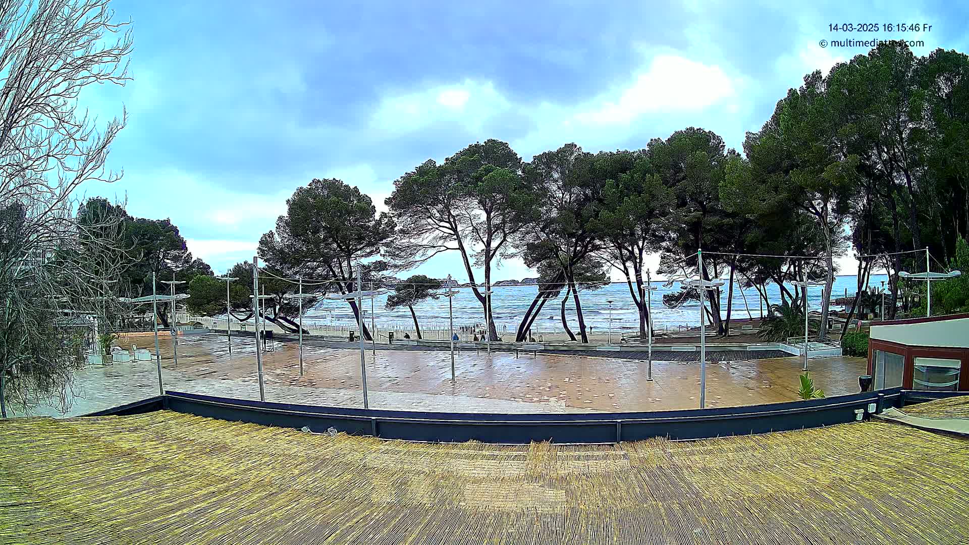 A wet, paved outdoor area with tall pine trees overlooking a beach with small waves under a partly cloudy sky.