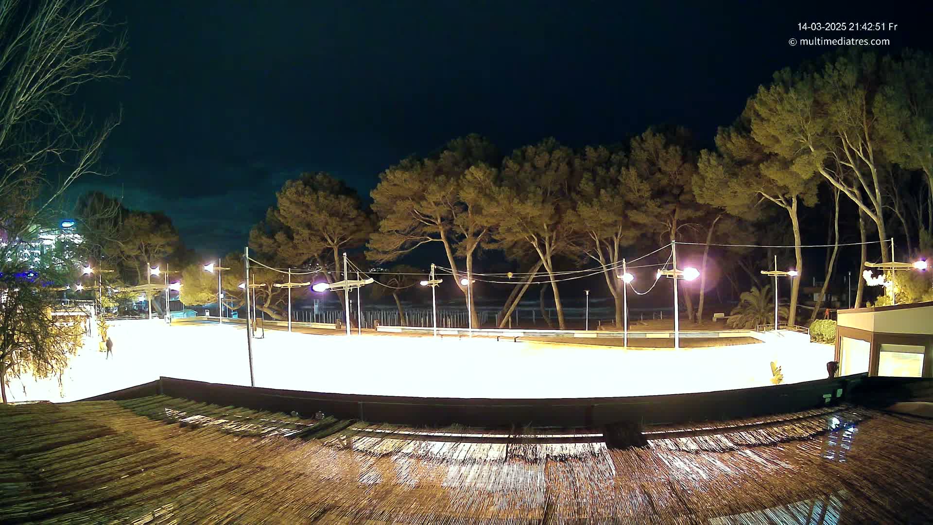 A brightly lit, empty ice rink at night, bordered by tall trees and a beach beyond, under a dark sky.