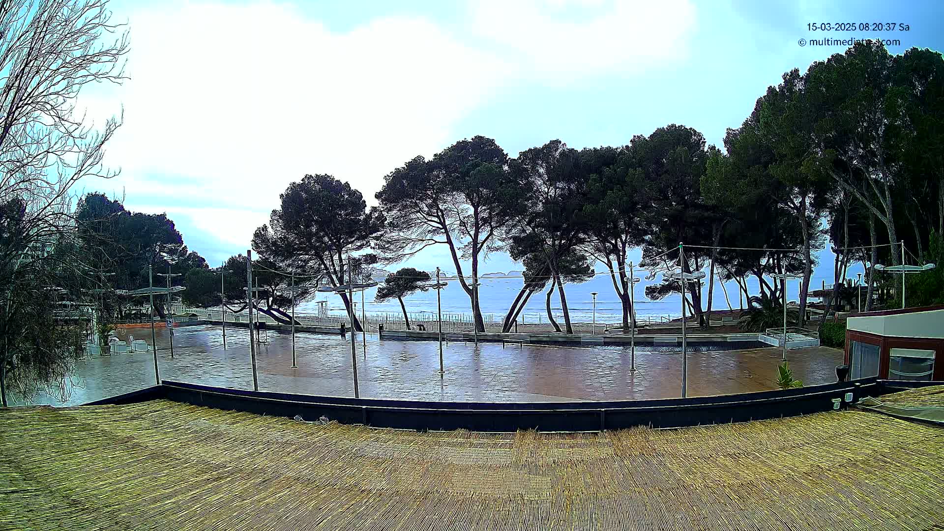 A flooded plaza near a calm ocean, under a cloudy sky, is surrounded by pine trees.