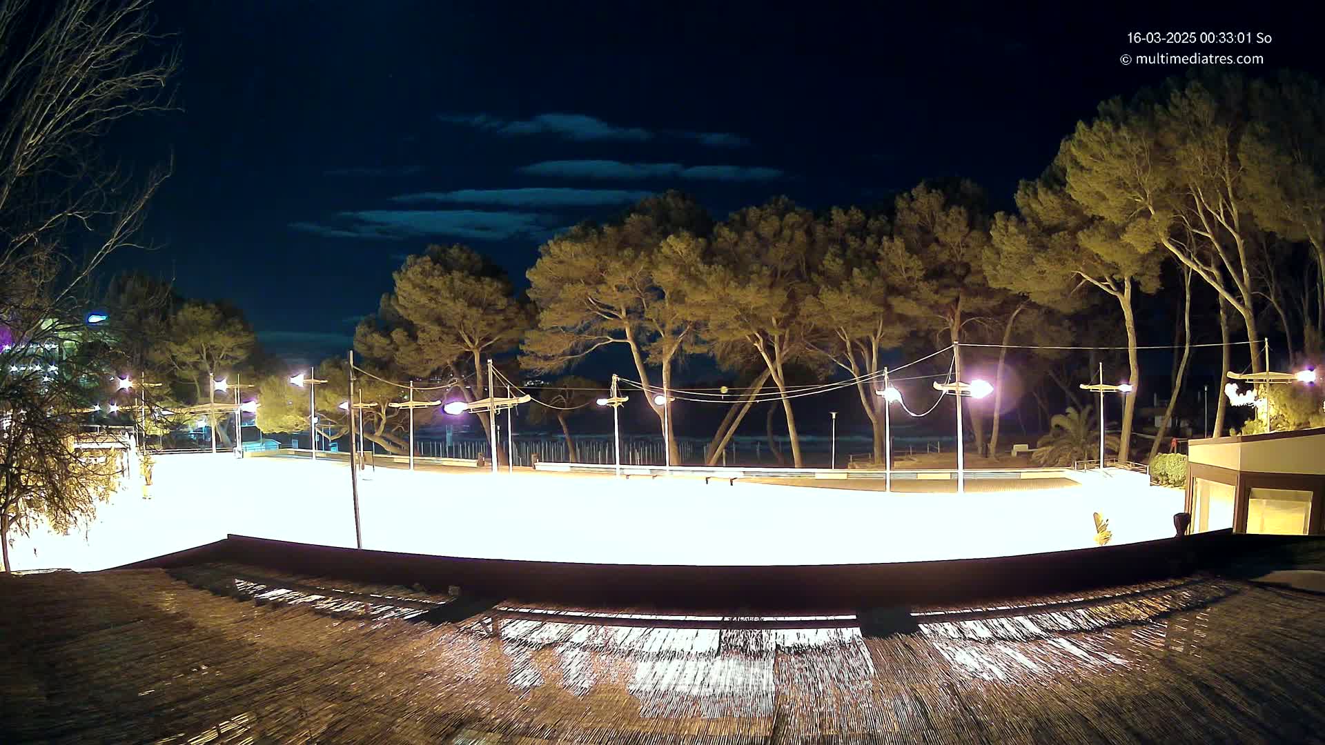 A brightly lit, empty outdoor rink sits under a dark, mostly clear night sky, bordered by tall pine trees and a beach beyond.