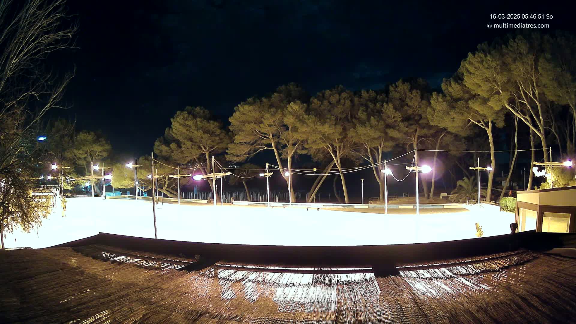 A brightly lit, empty skating rink at night, surrounded by tall pine trees under a dark sky.