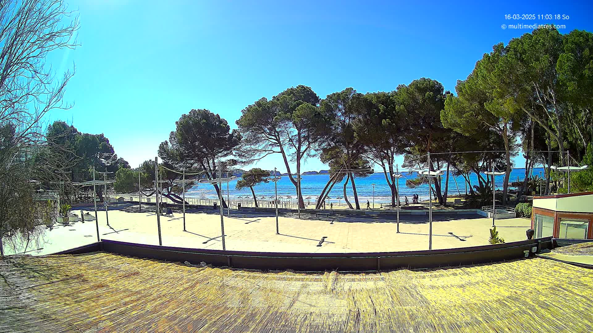 A sandy plaza with lampposts and a thatched roof overlooks a beach with calm blue water under a sunny sky, surrounded by green pine trees.