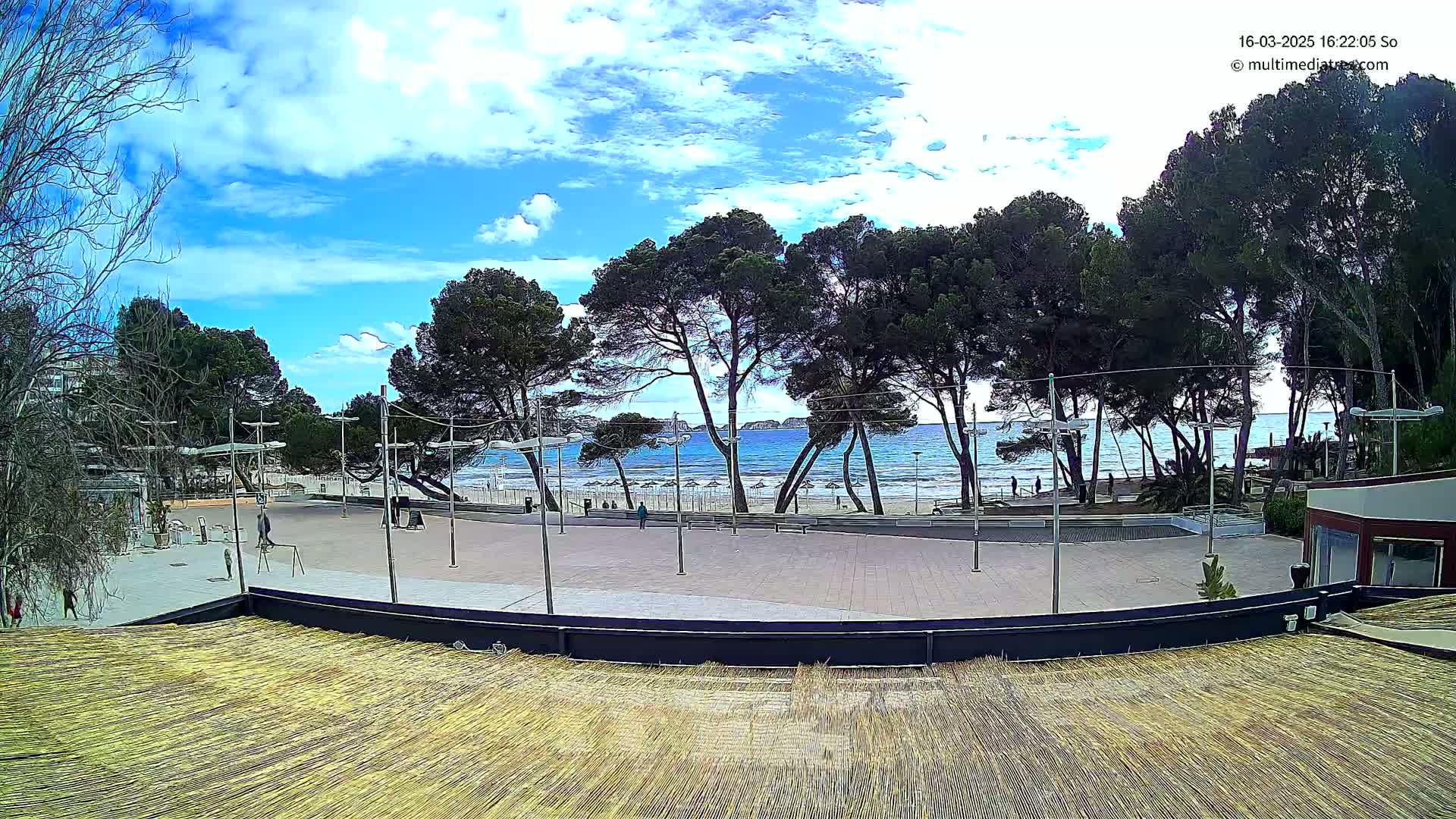 A mostly sunny day at a beach, viewed from a slightly elevated position, shows a paved plaza with a few people, several pine trees, and a calm ocean with a sandy beach.