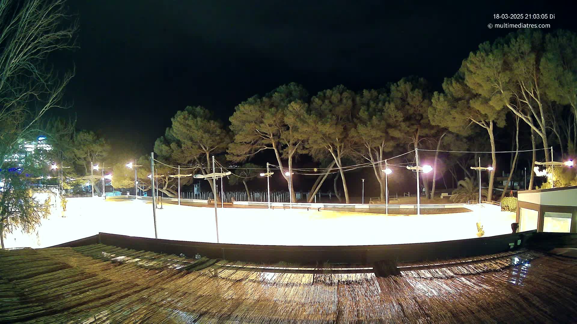 A brightly lit, empty skating rink at night, surrounded by tall, dark pine trees under a clear, dark sky.
