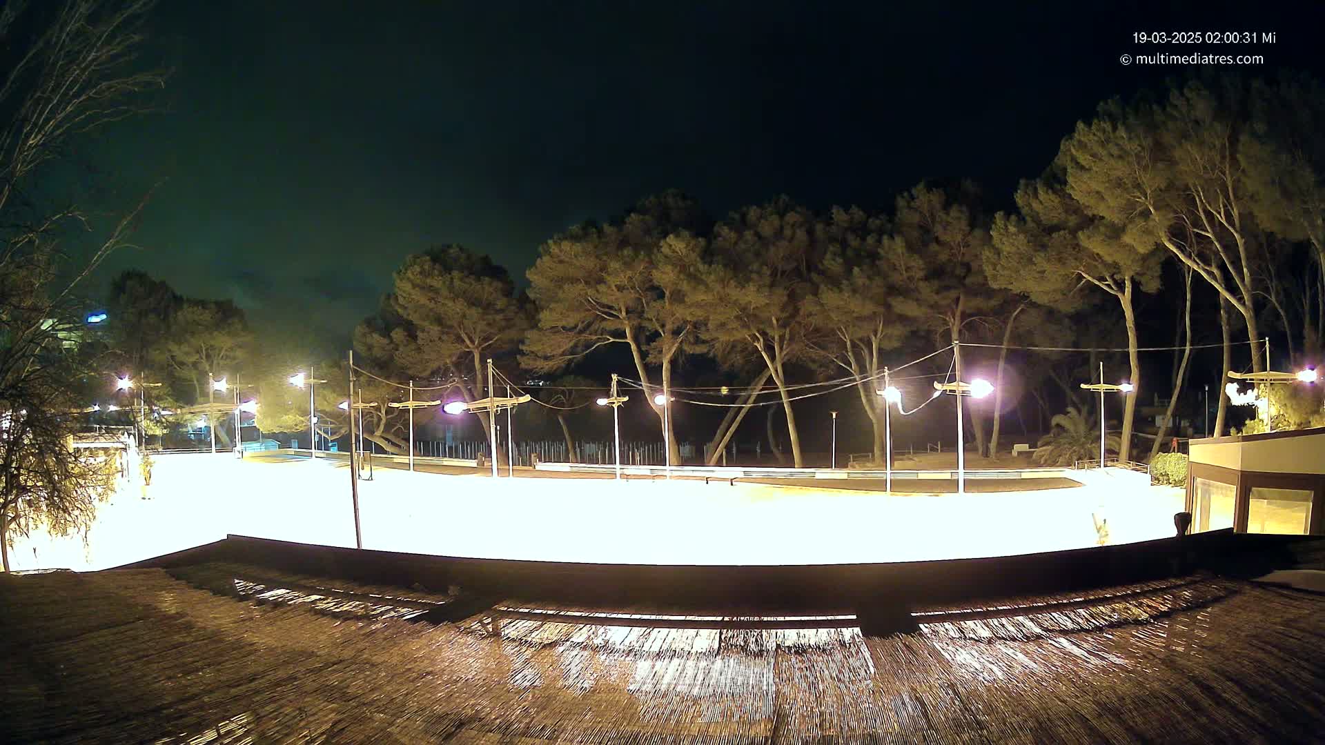 A brightly lit, empty outdoor rink at night, surrounded by tall pine trees under a dark sky.