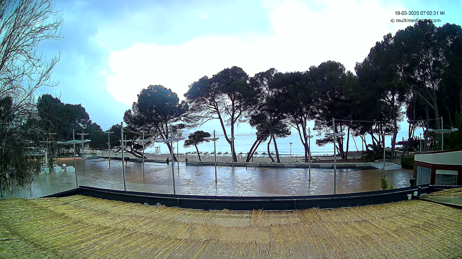 A wet, paved plaza overlooks a beach with calm water under an overcast sky, lined with dark pine trees.